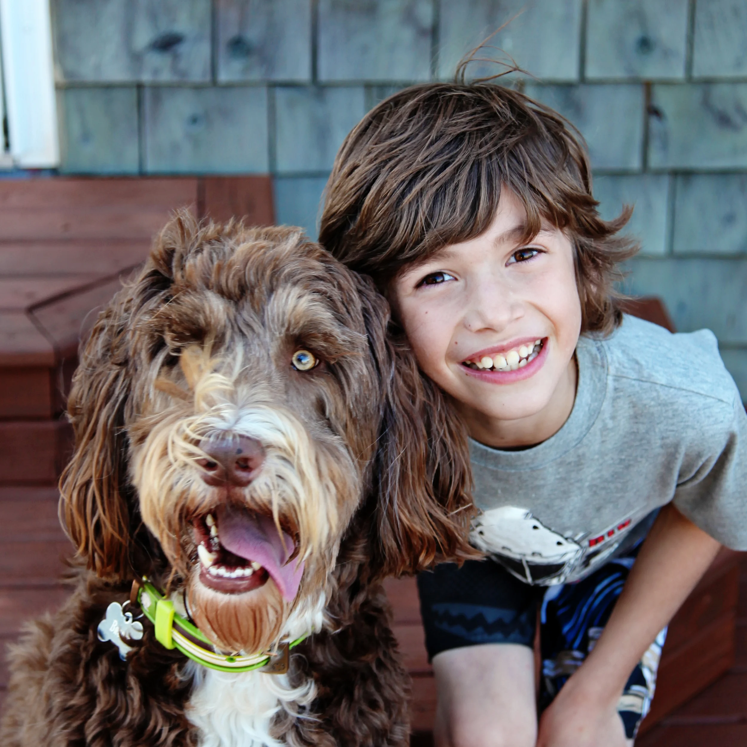 Dogs + Kids