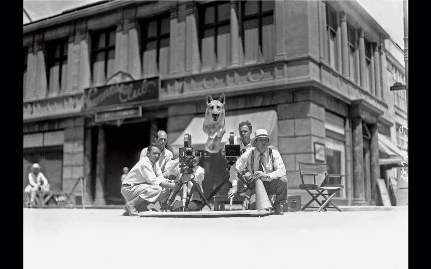 Flash (1934) the MGM dog (a Hollywood star in his own rights) With the box office magic generated at warner Bothers by Rin Tin Tin, other film studios were keen to find their own lucrative dog heroes. Flash was a German Shepherd, who appeared as a puppy in HIS MASTER’S VOICE in 1925, followed by another eight films for MGM, before honourably retiring in 1938.