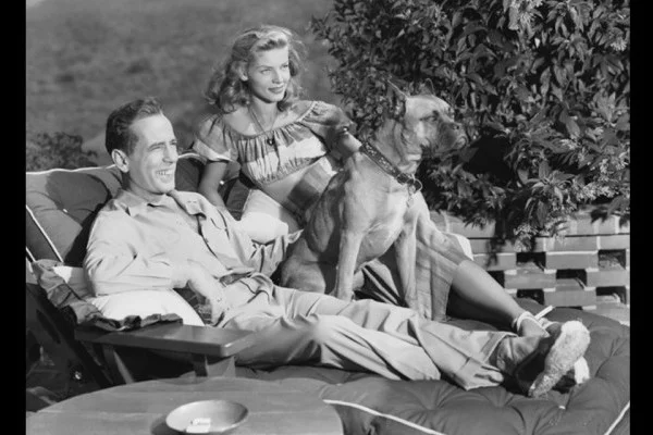 Humphrey Bogart & Lauren Bacall (1946) The Boxer was a wedding present to Humphrey Bogart and Lauren Bacall, from Pulitzer-prize winning writer Louis Bromfeld, “Harvey was really smart” Bacall later recalled, “he knew he wasn’t allowed to get on the furniture so he would only put two paws on at a time, and he would sit between us if we had a fight.” Photographed by Scotty Welbourne