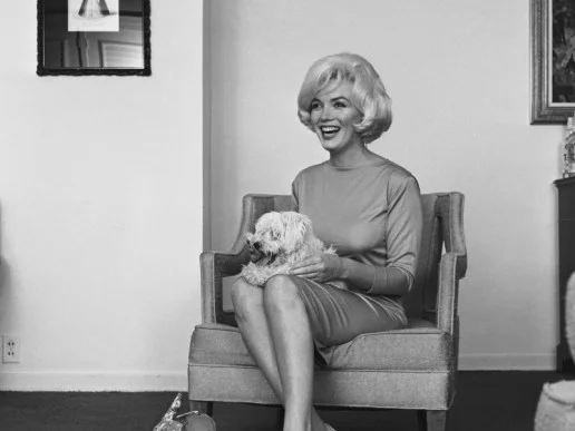 Marilyn Monroe (1961) Although she sometimes referred to him as a Poodle, Monroe’s last dog Maf was in fact a Maltese, given to her by Frank Sinatra in 1961. She rather wickedly named the dog mafia, which was soon shortened to Maf.