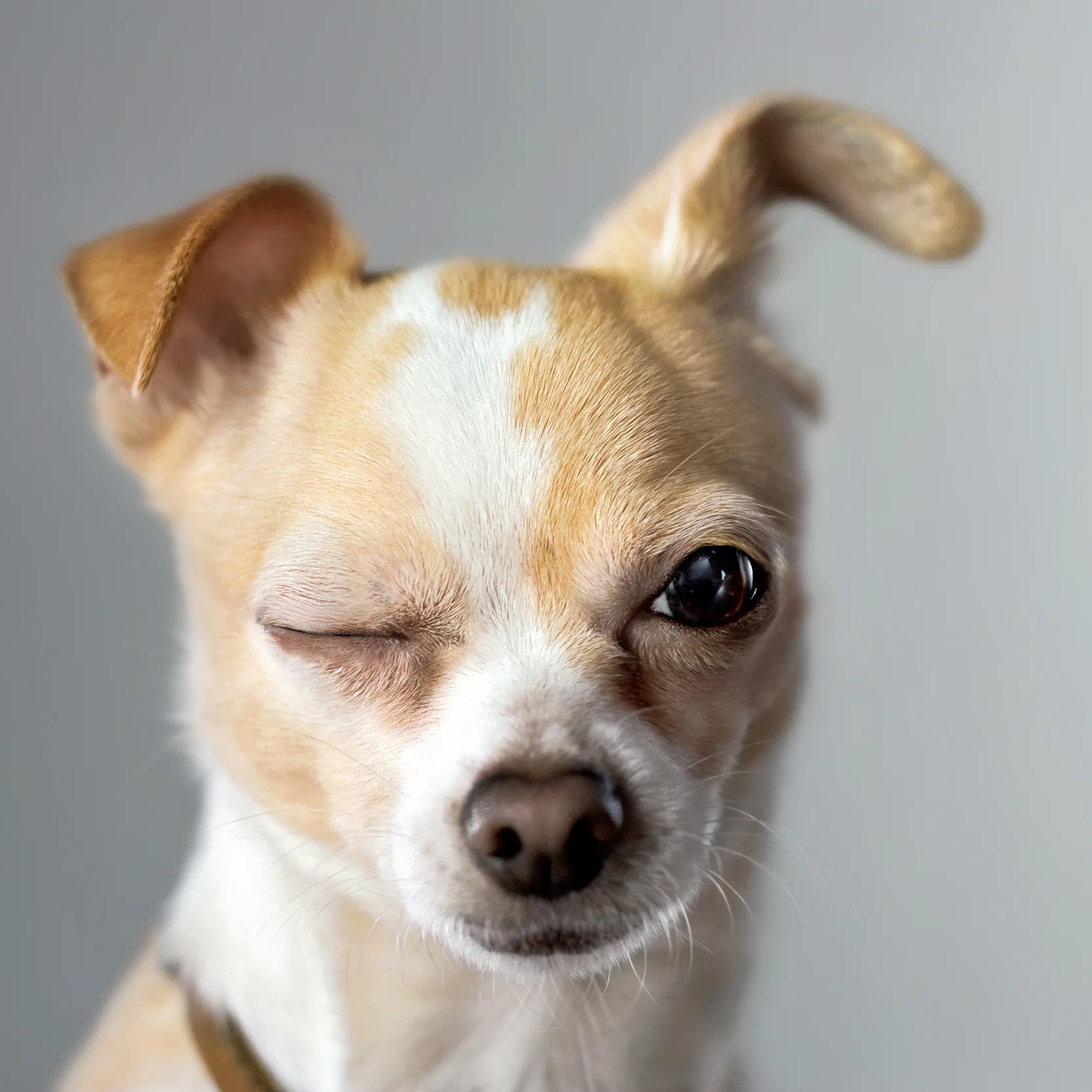 I've seen this face before.