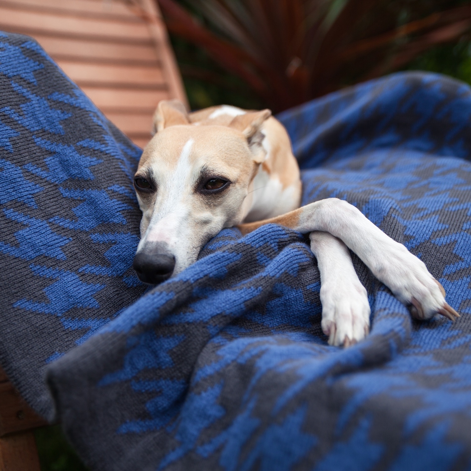 Ellery Bow_blanket_Denim_Juno.jpg