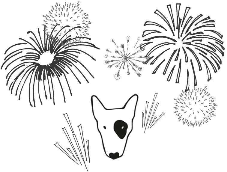 Fireworks programme.jpg