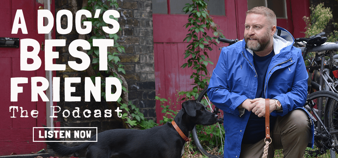 dog psychologist near me