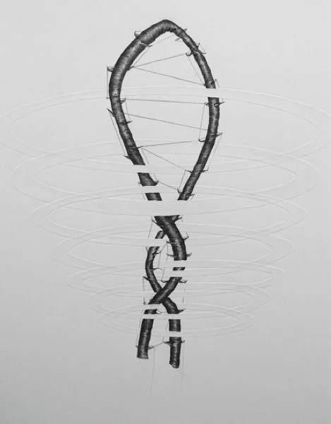 6)Lauren-Kelly,Funiculus-Umbilicalis-and-Anchored-Specimens,--Fabric-2014-Photo.png
