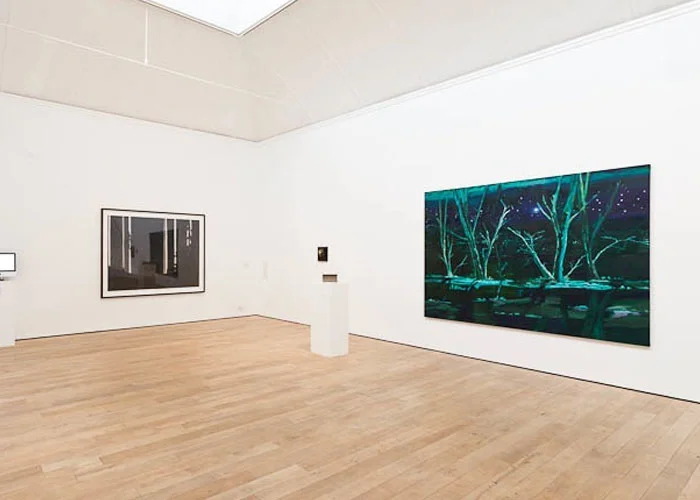 RESTLESS NATURE,&nbsp;JUL – SEP 11, NEWLYN ART GALLERYMore Info >>