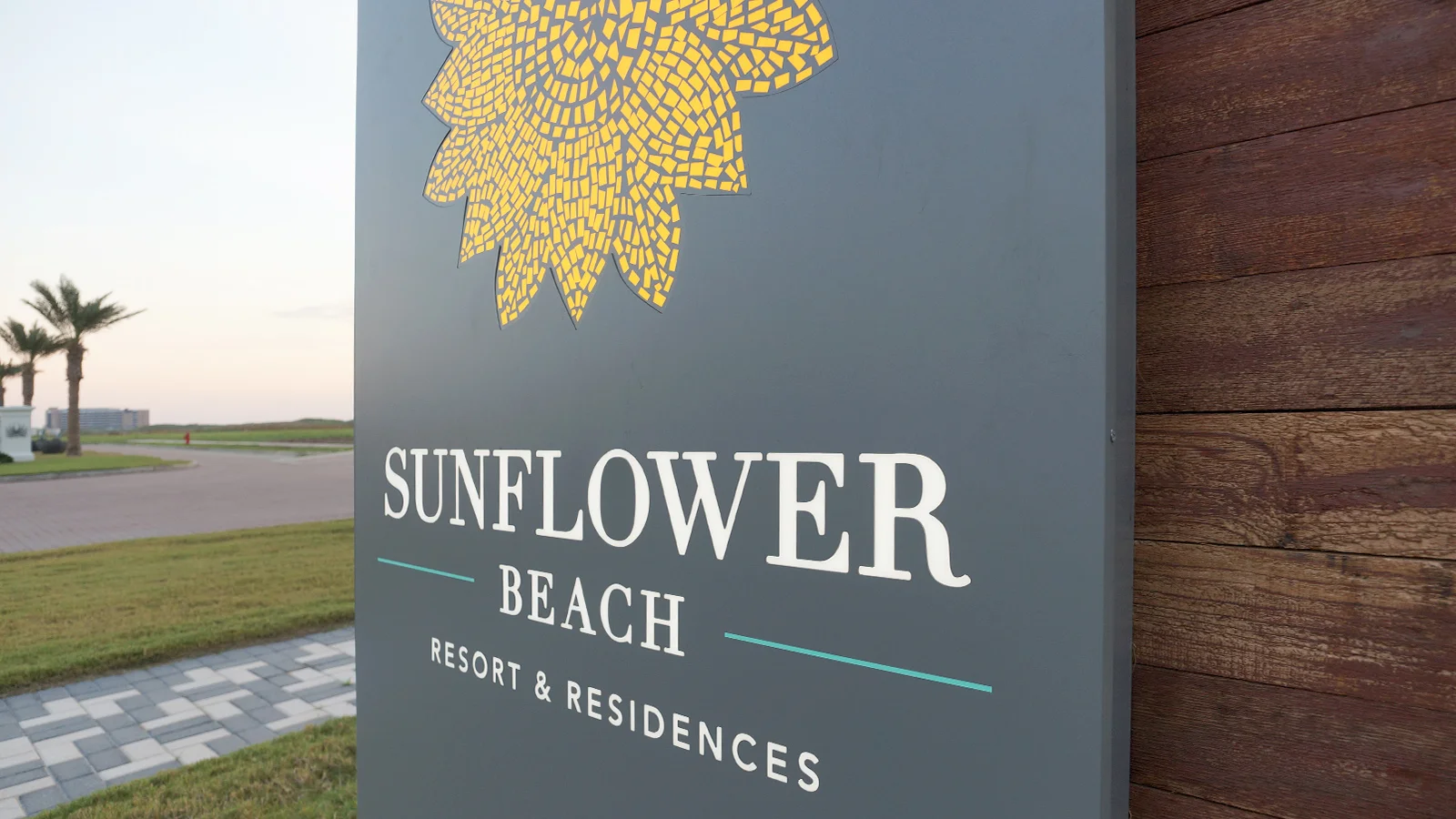 SUNFLOWER-10.5-10.jpg