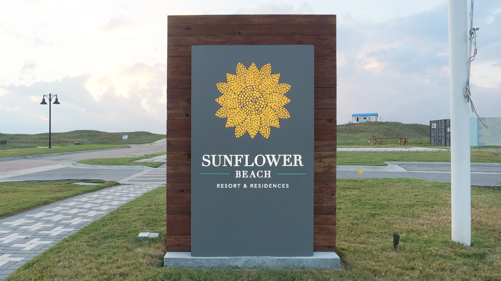 SUNFLOWER-10.5-11.jpg