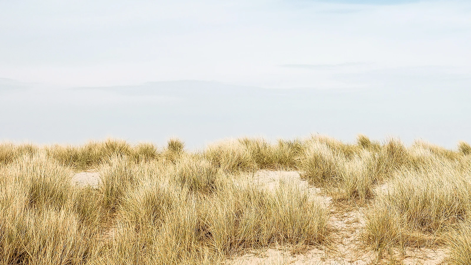dune-4.17.19.jpg