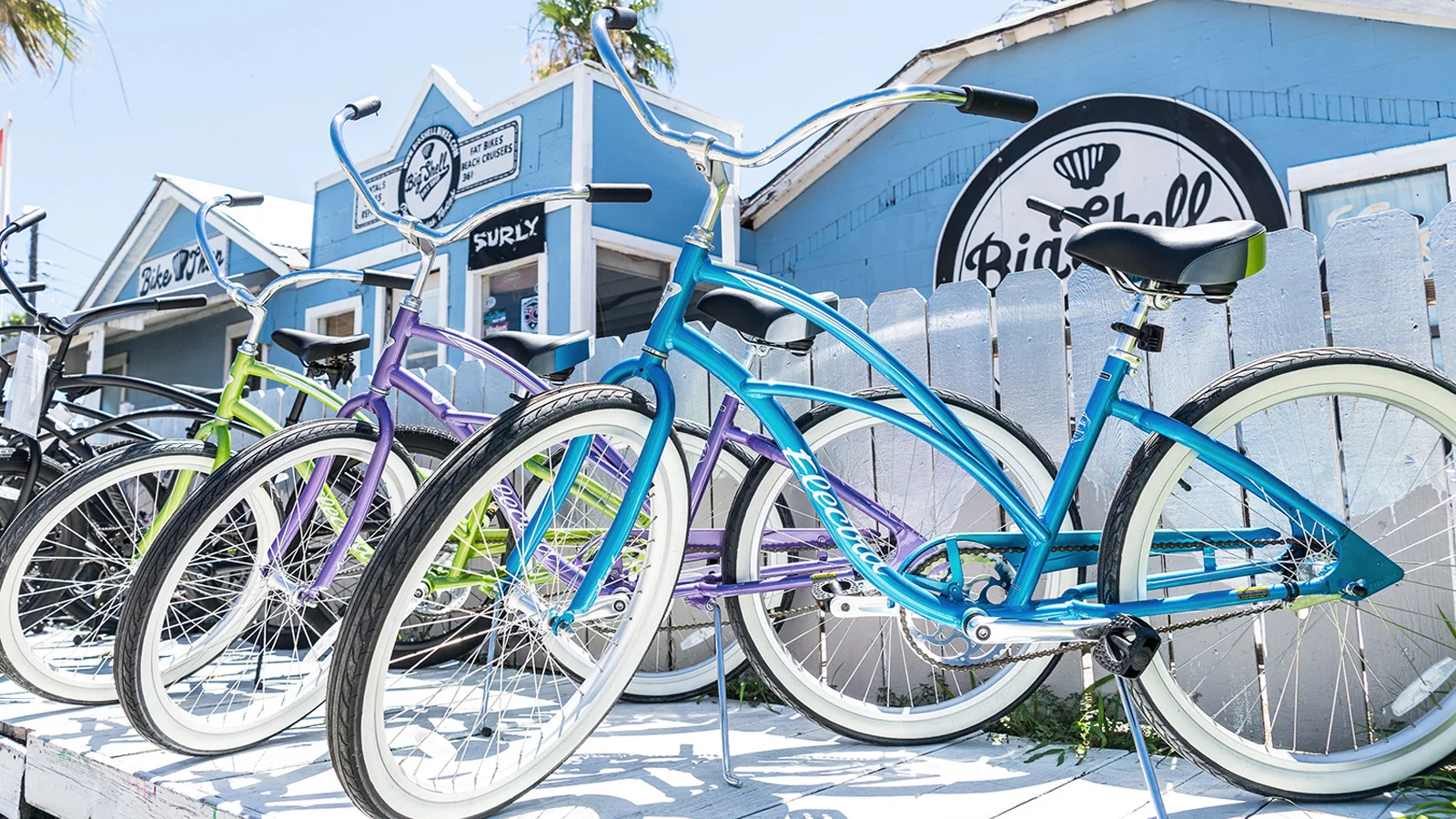 SUNFLOWER-bikes.jpg