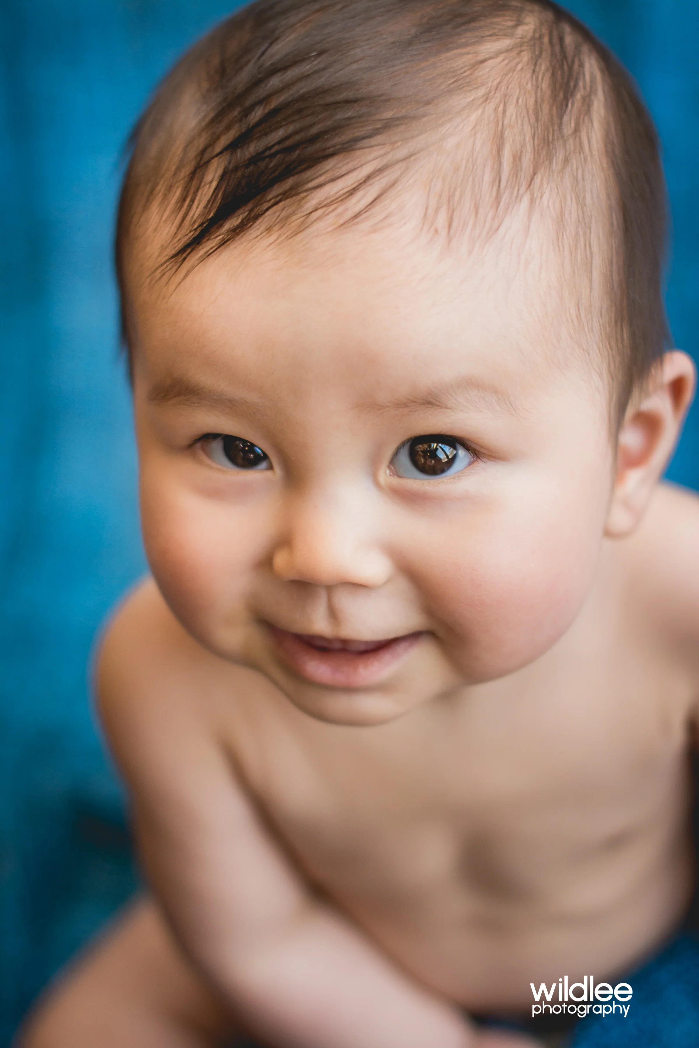Winter Portraits in Reading MA