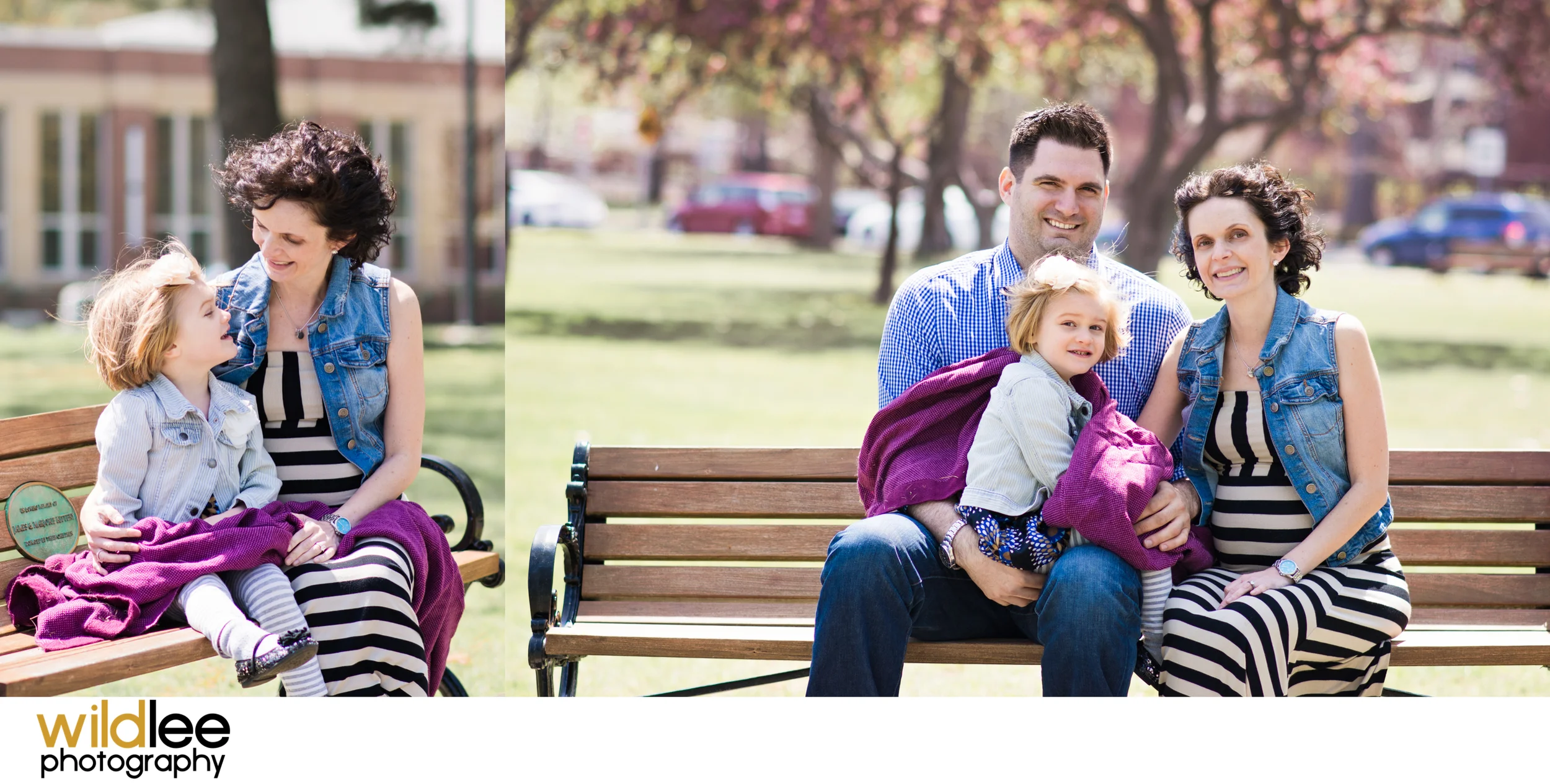Bench Series.jpg