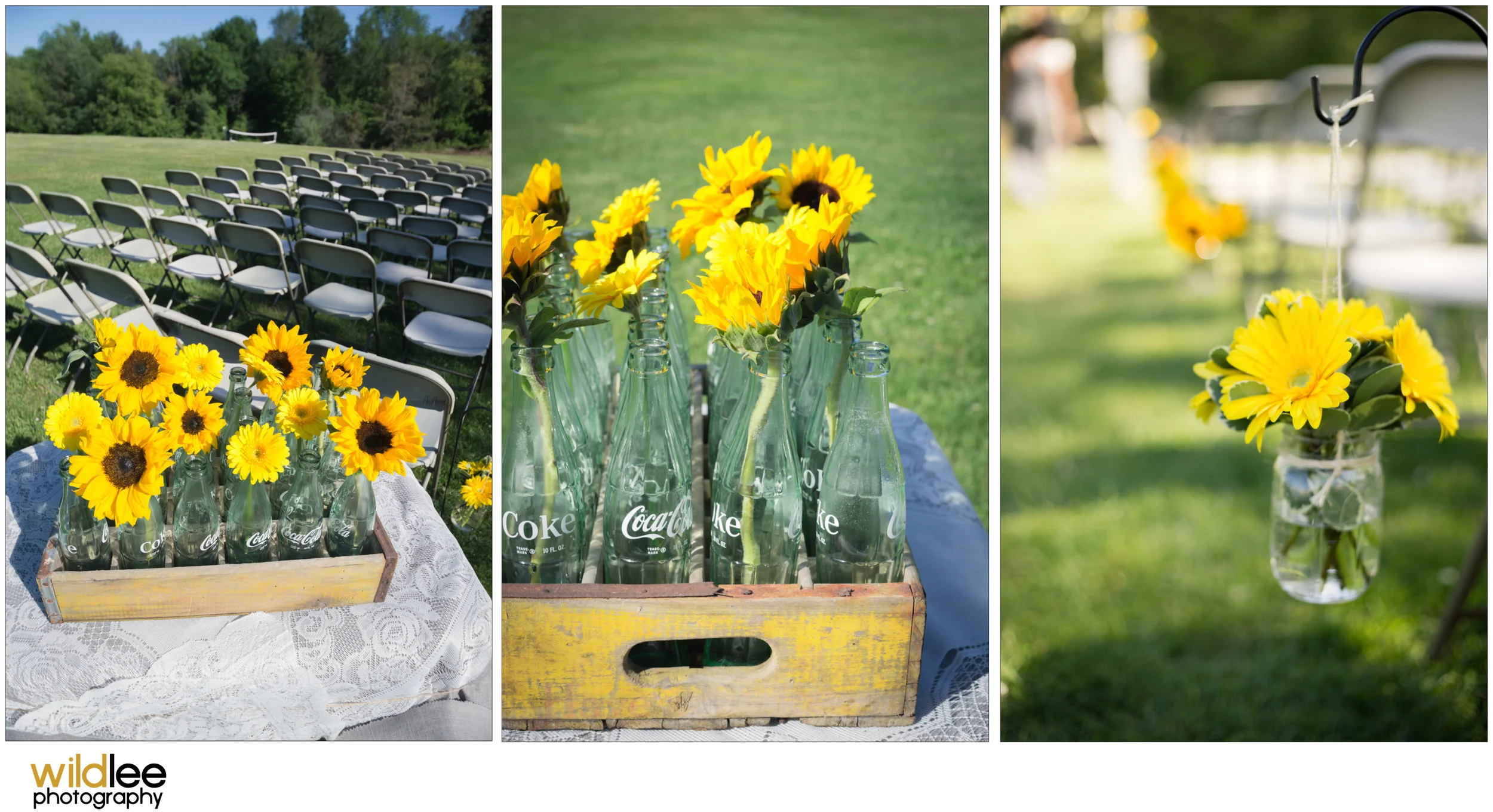 Sunflowers_1.jpg