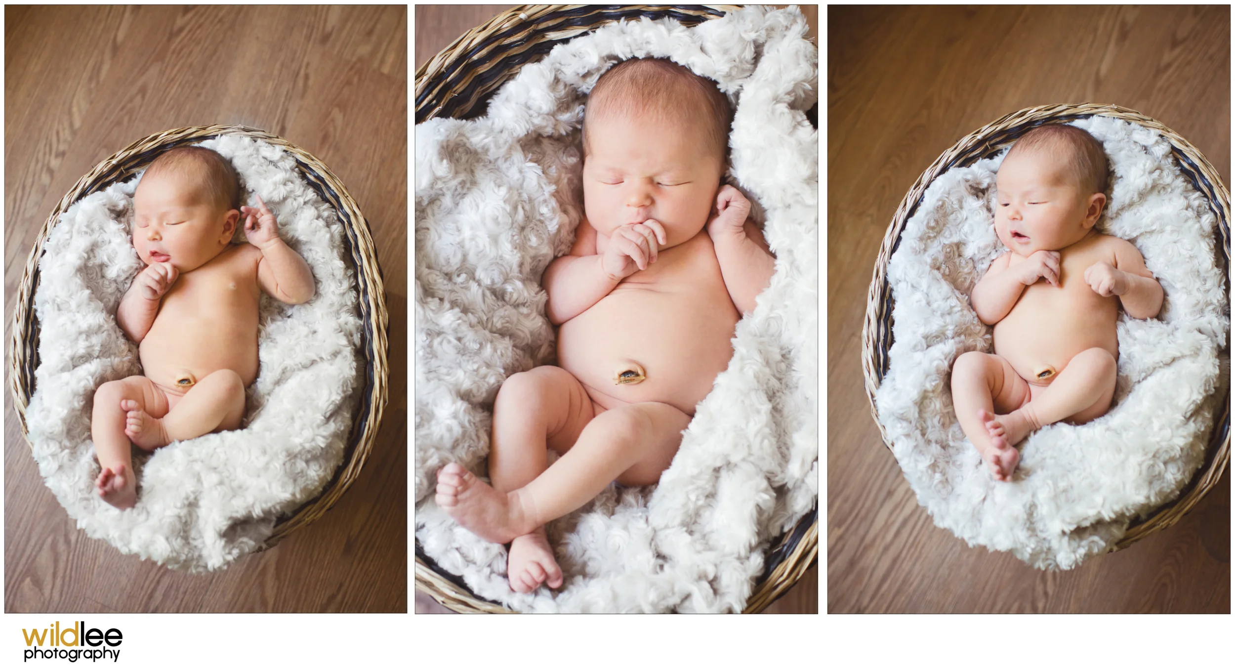 Newborn2.jpg