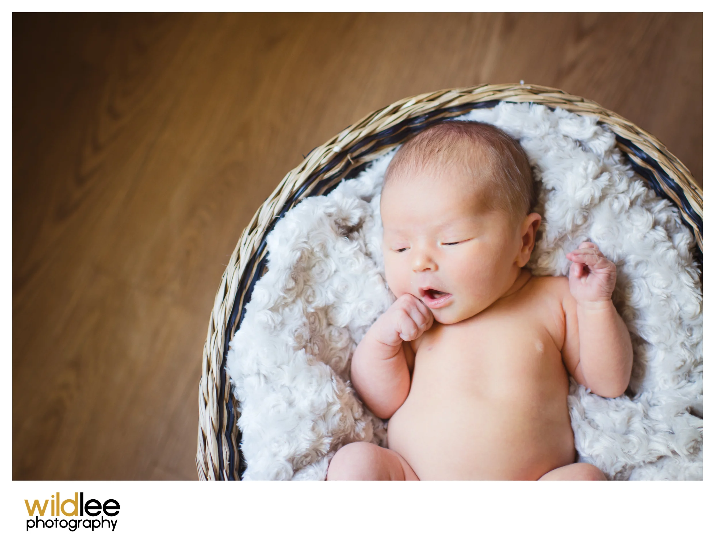 Newborn7.jpg