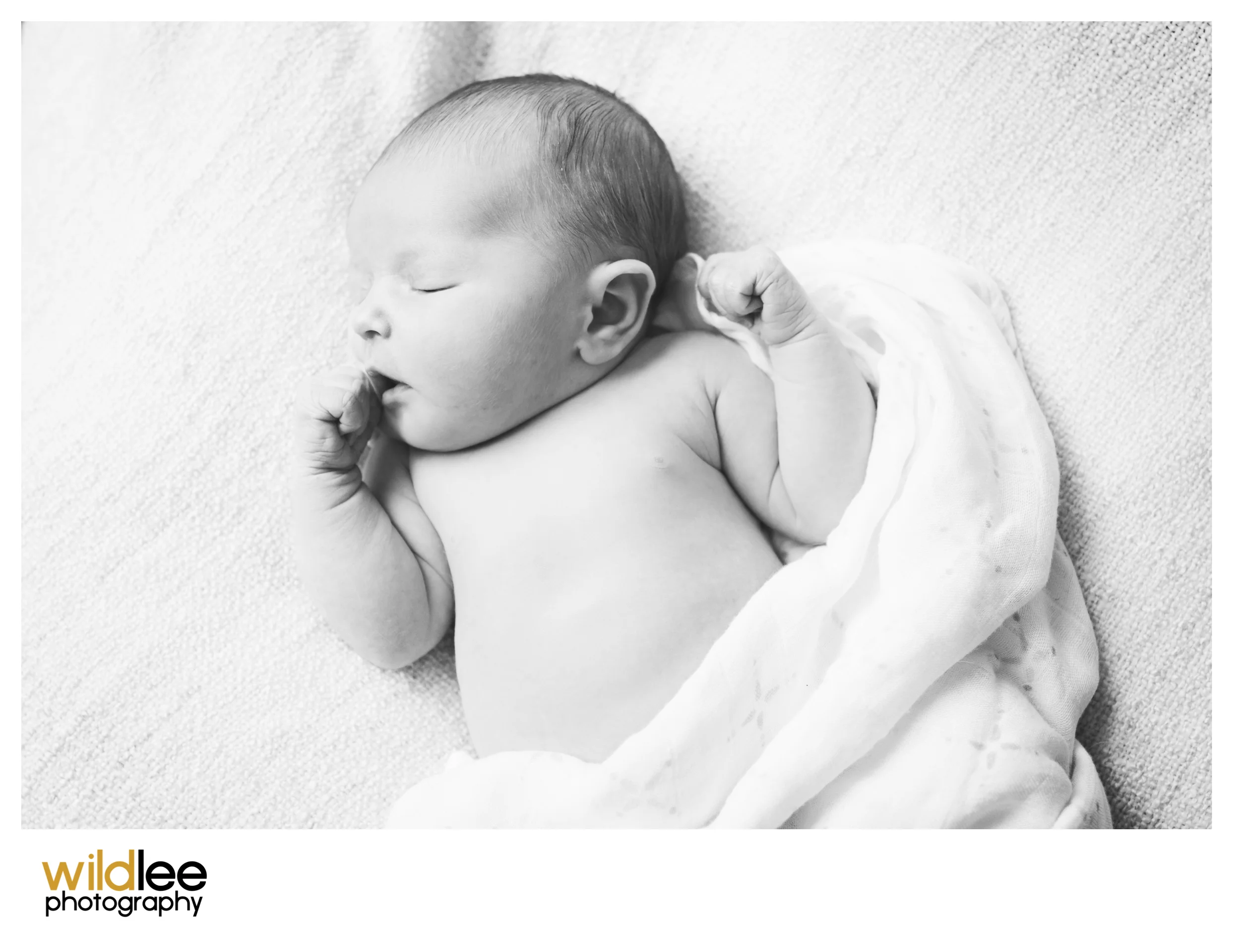 Newborn8.jpg