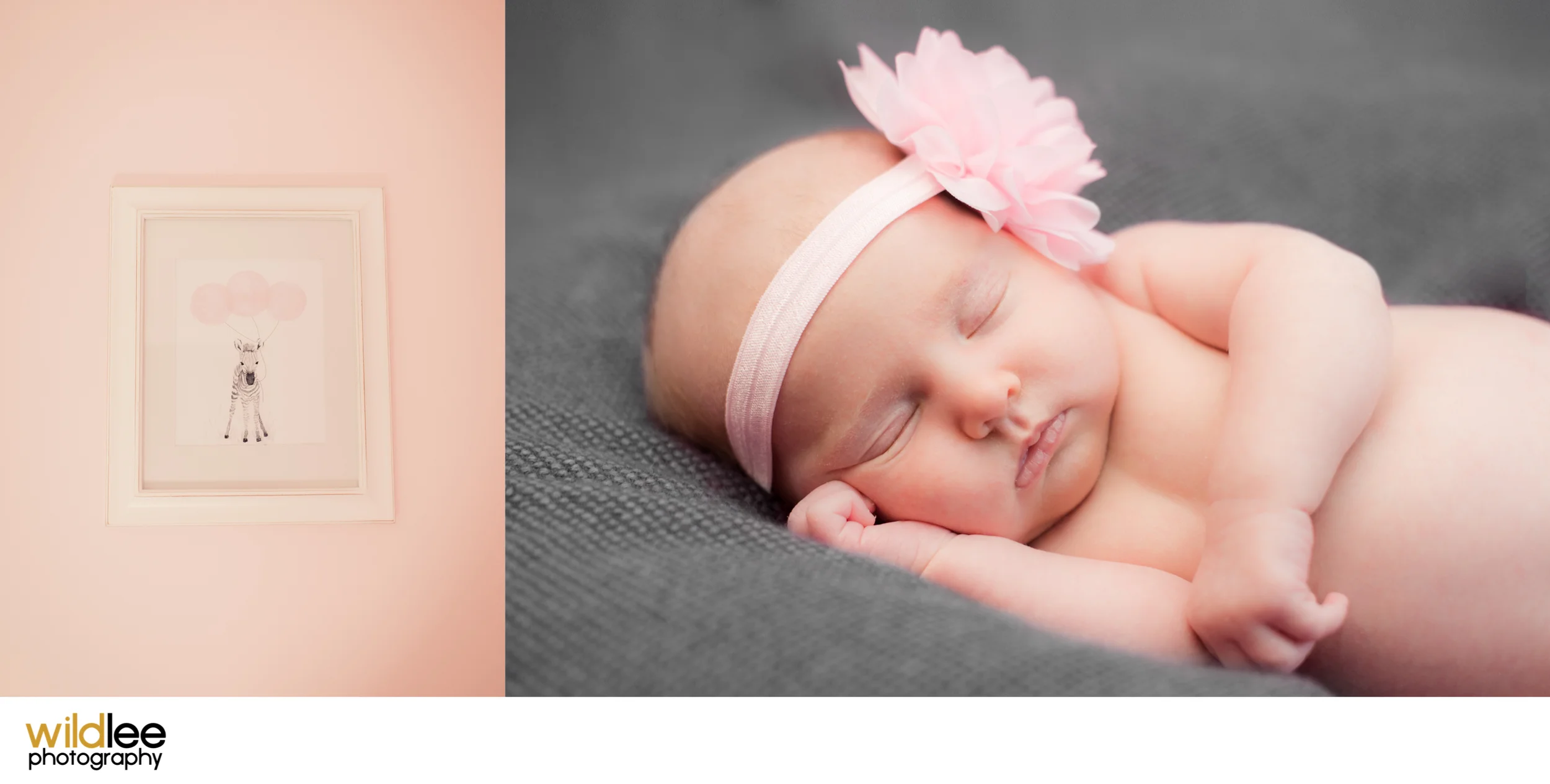 Newborn1.jpg