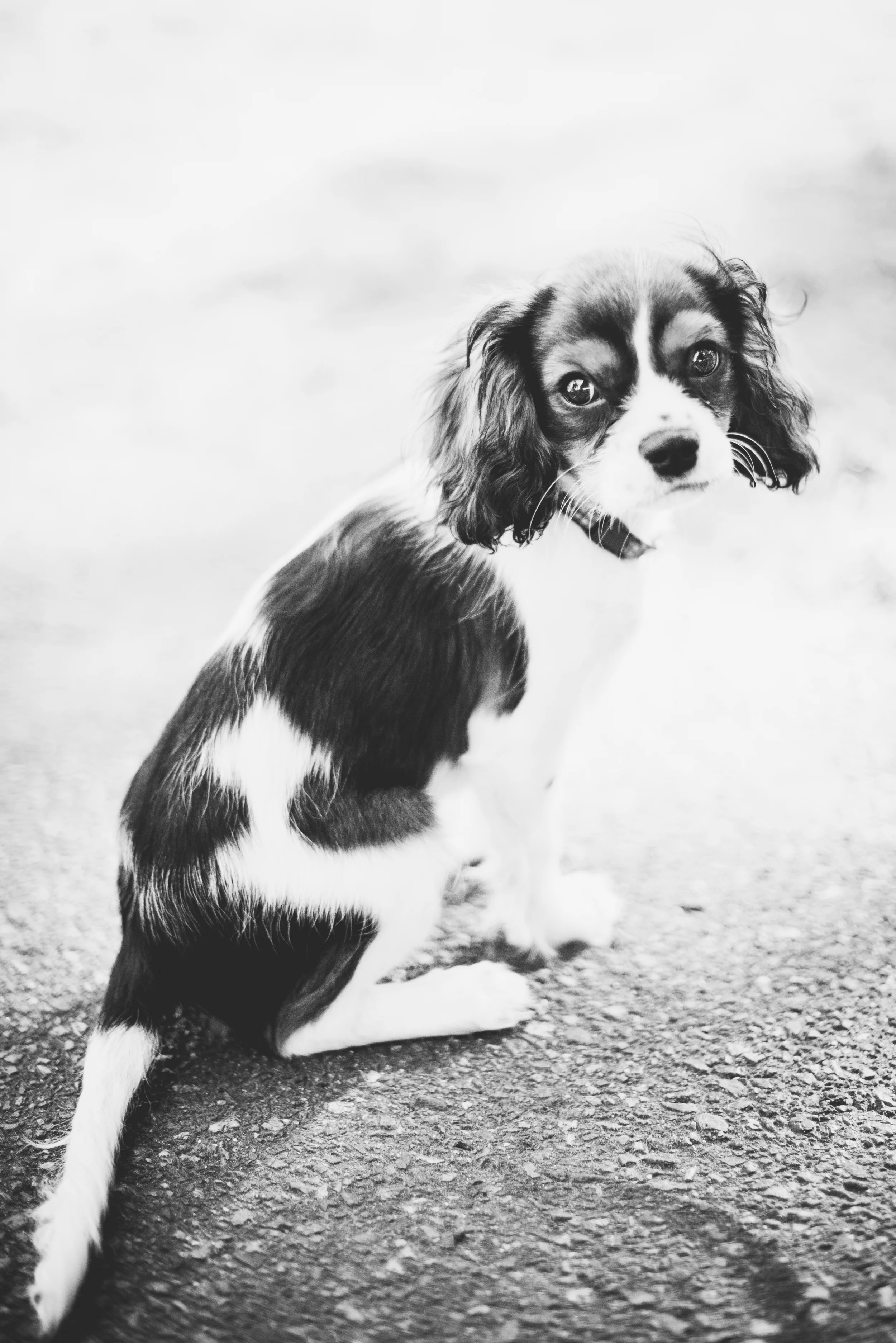 Duncan-5.jpg