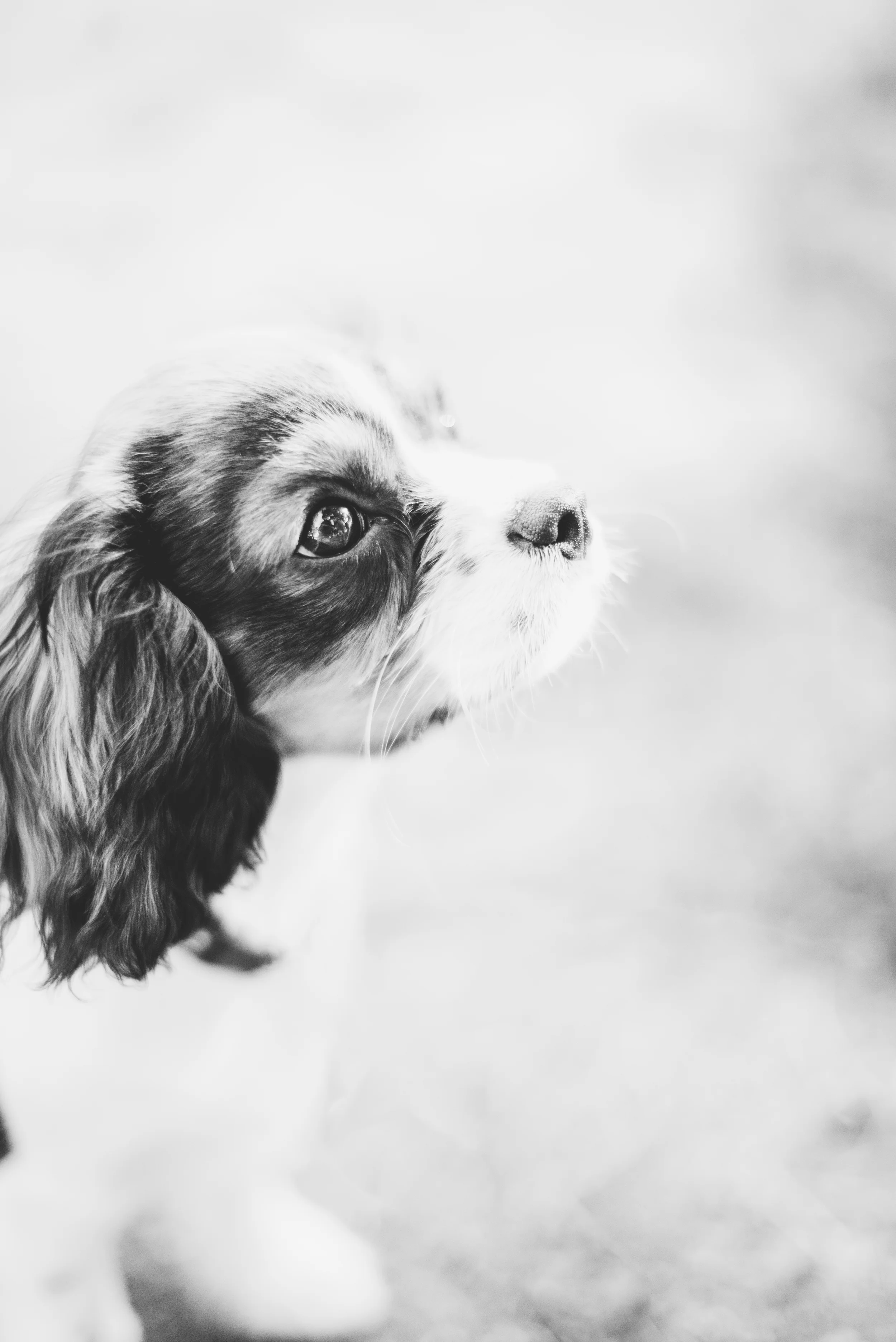 Duncan-13.jpg