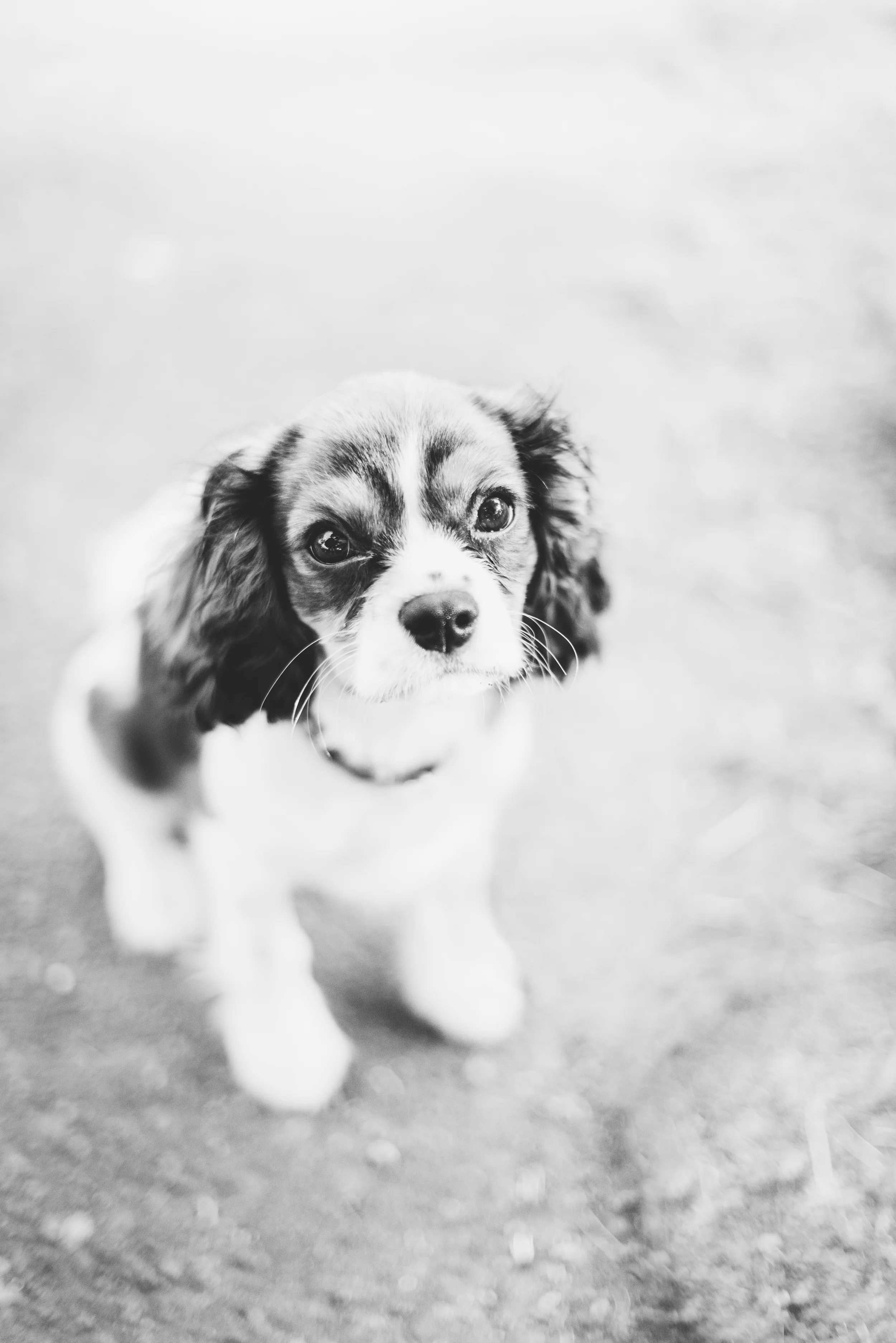 Duncan-17.jpg