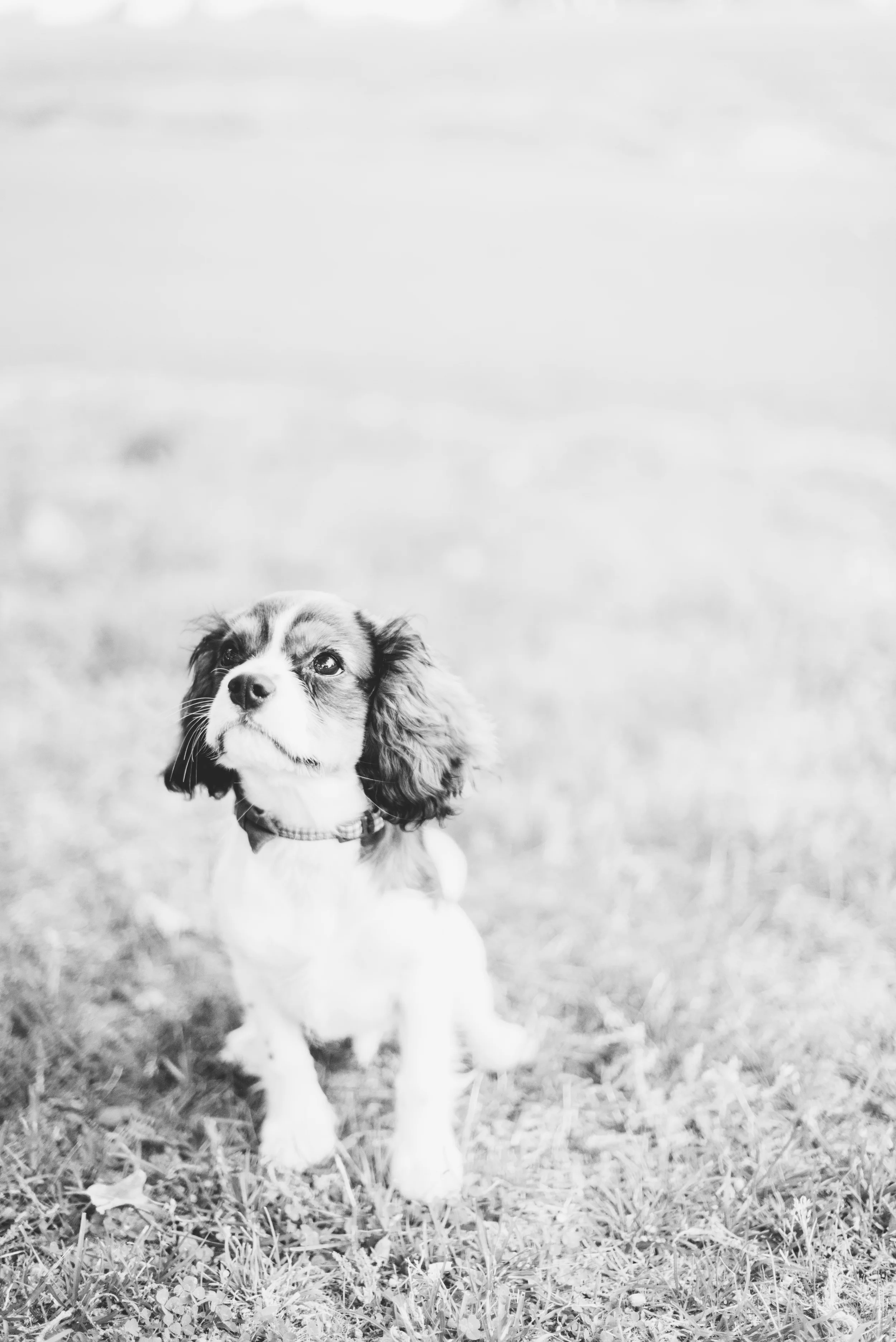 Duncan-27.jpg