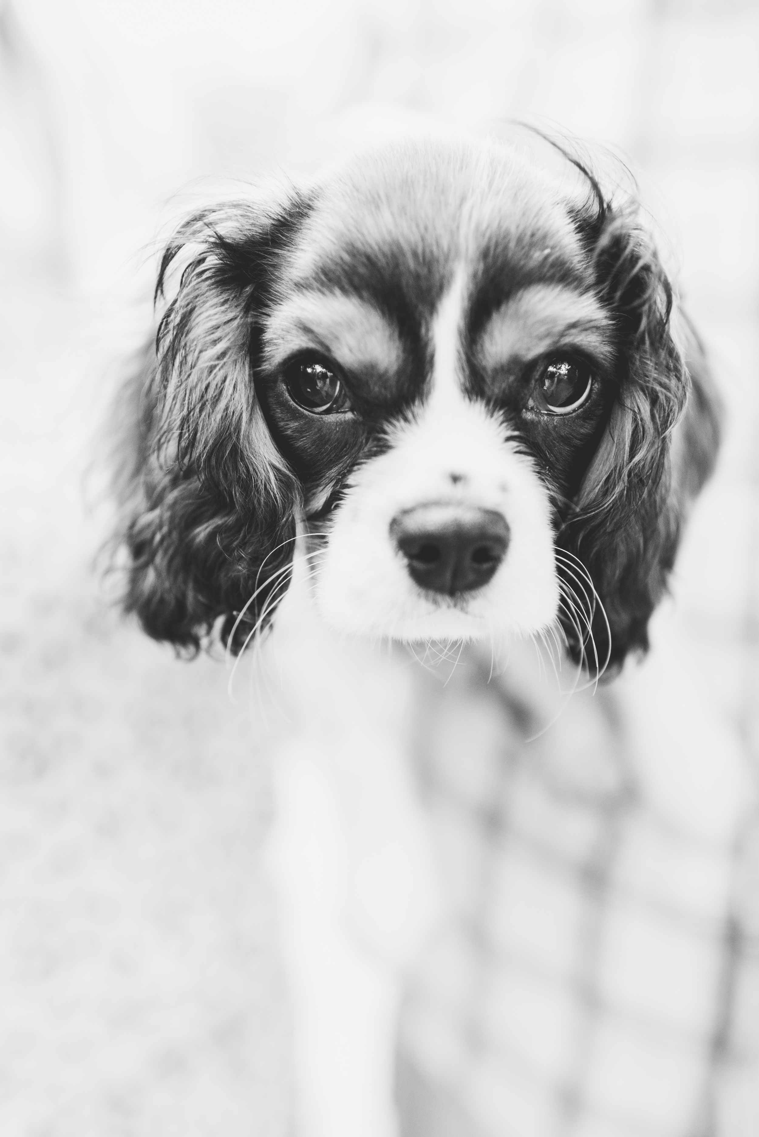 Duncan-65.jpg