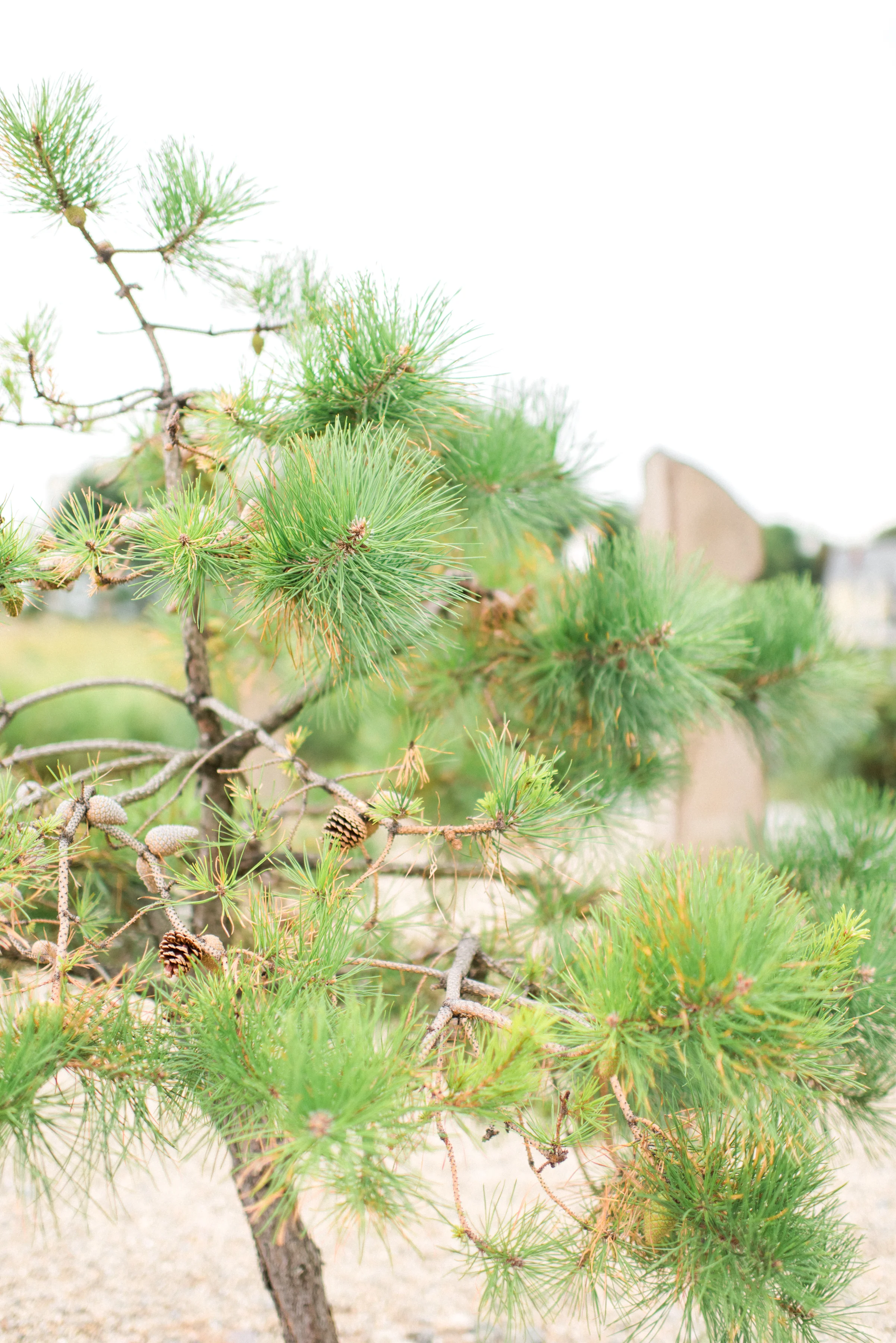 Desirae_Jeff Blog-3.jpg