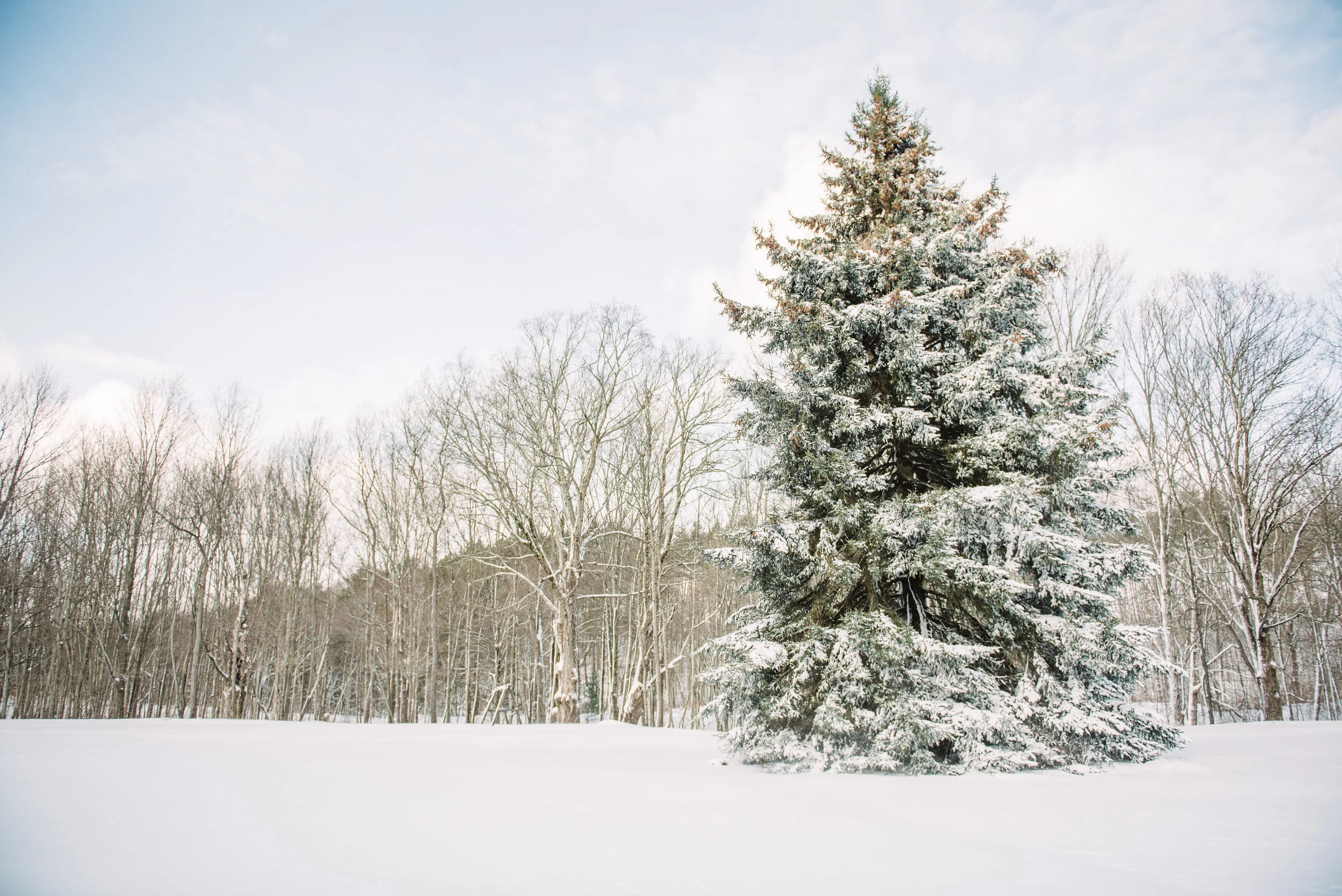 Christmas Blog-7.jpg