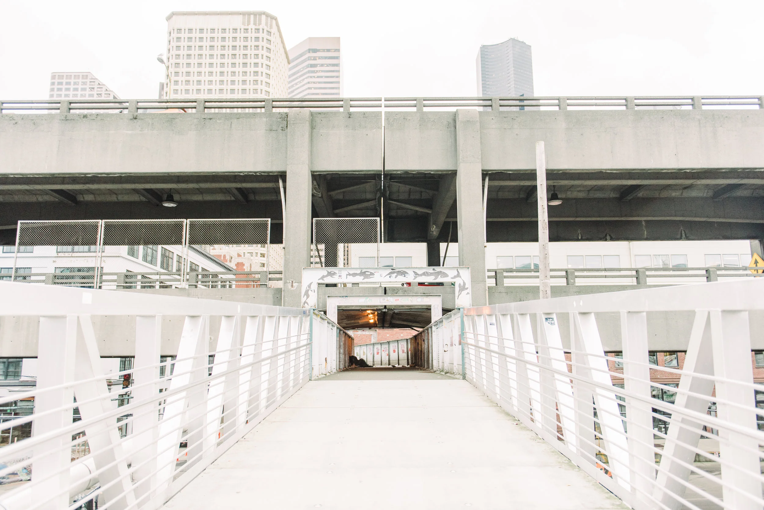 PNW-4680.jpg