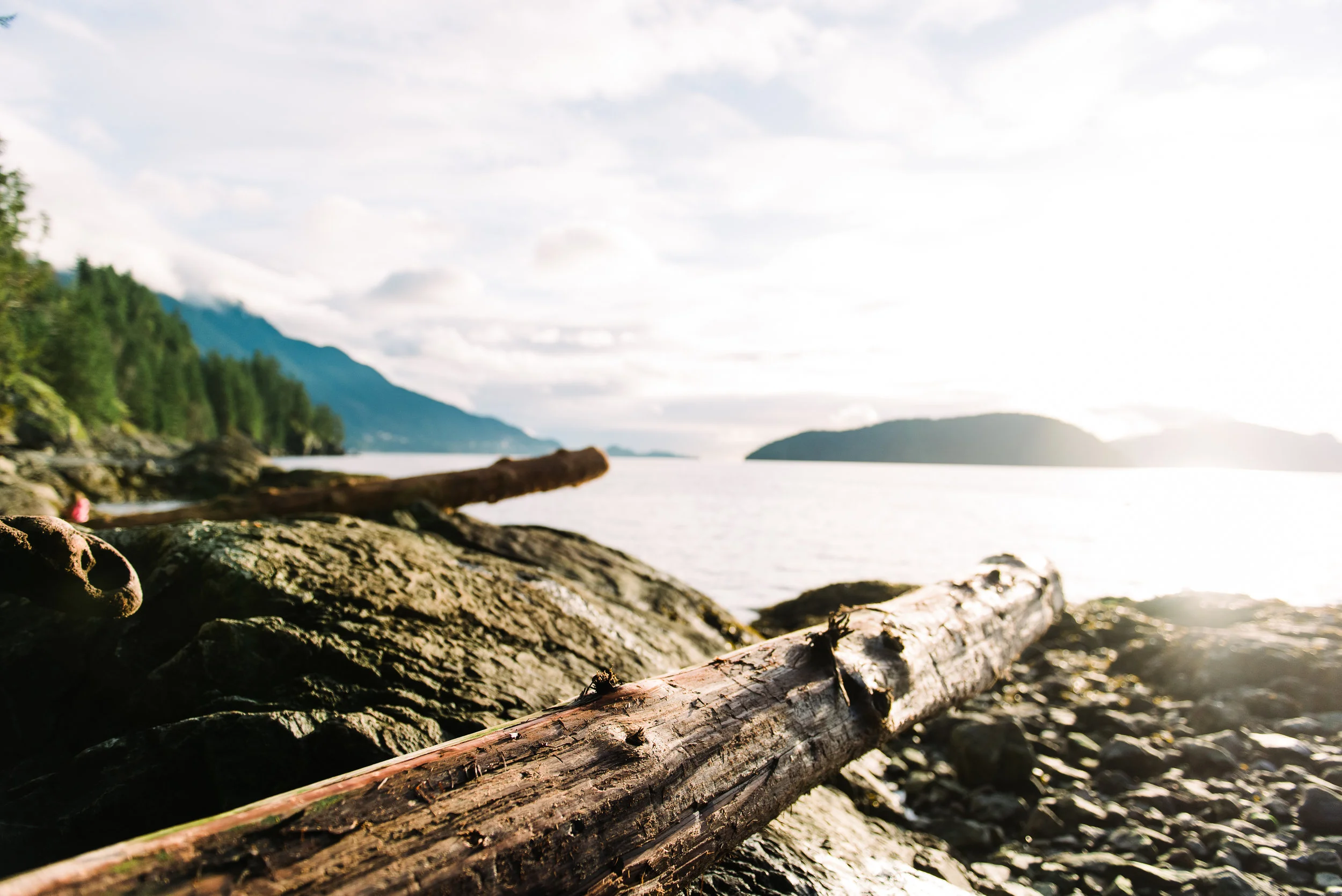 PNW-4707.jpg