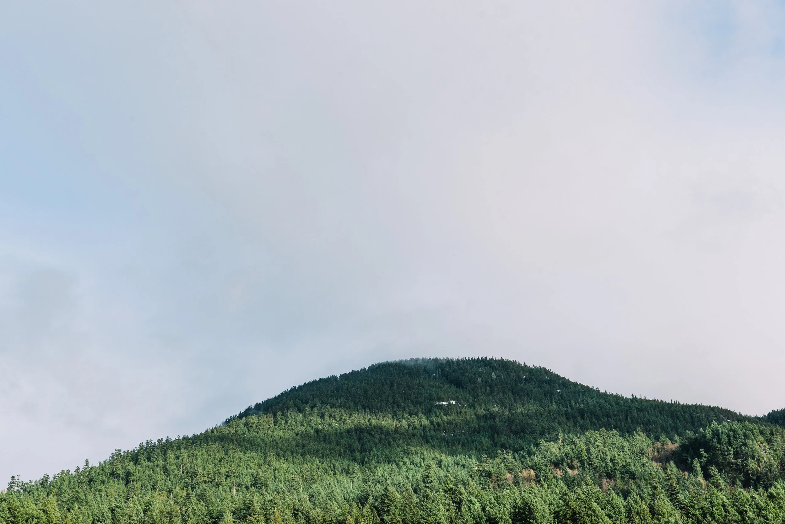 PNW-4728.jpg