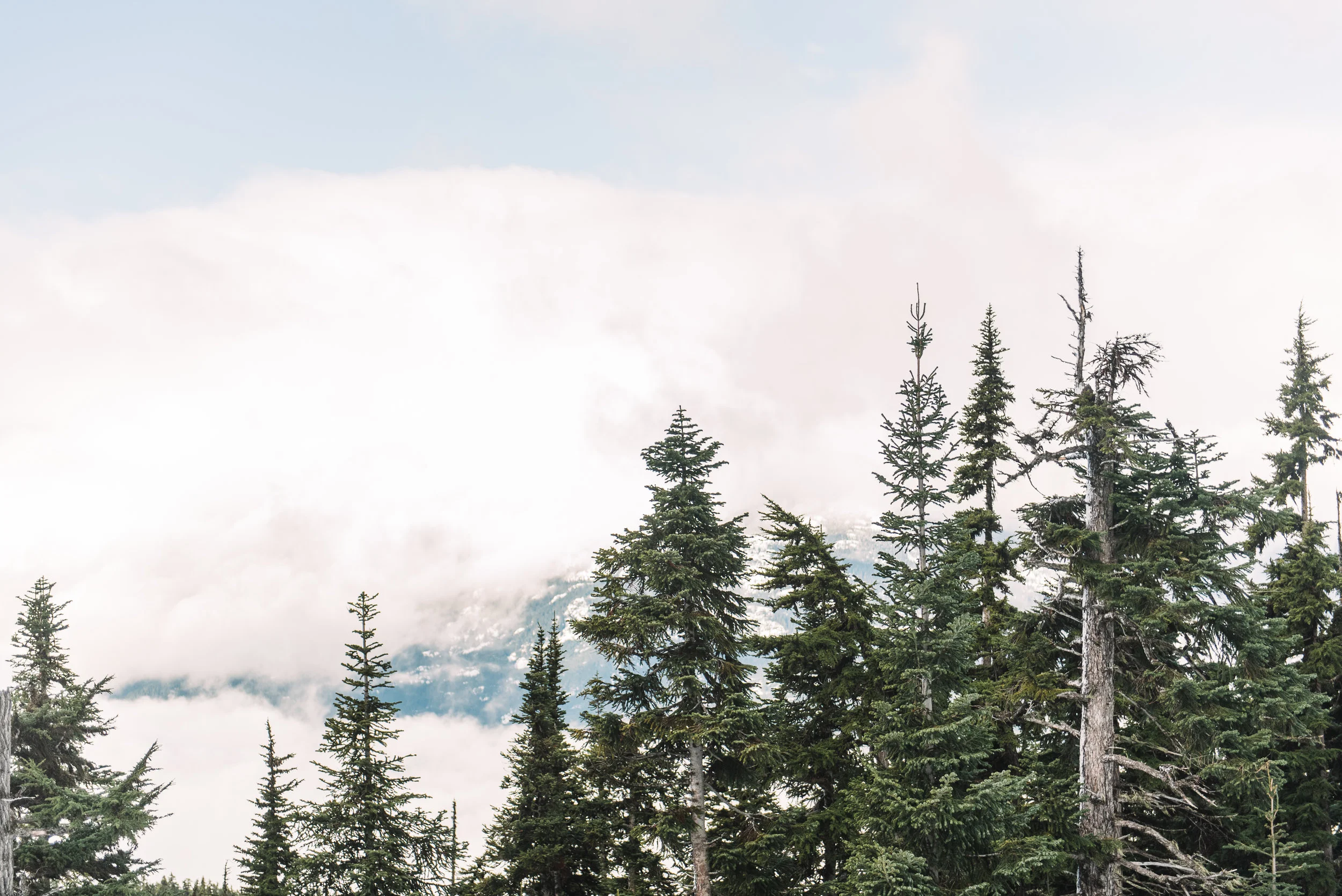 PNW-4872.jpg
