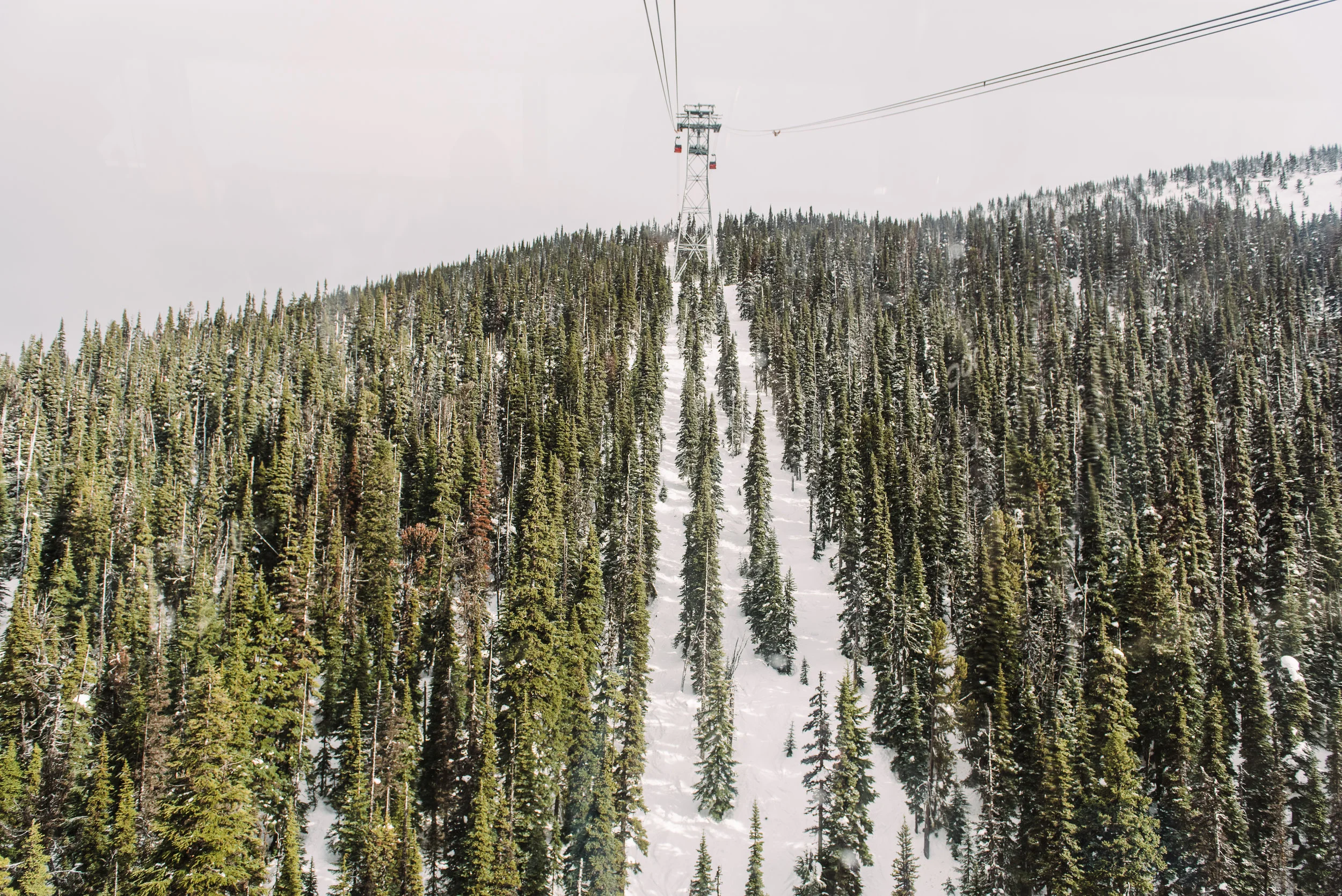 PNW-4877.jpg