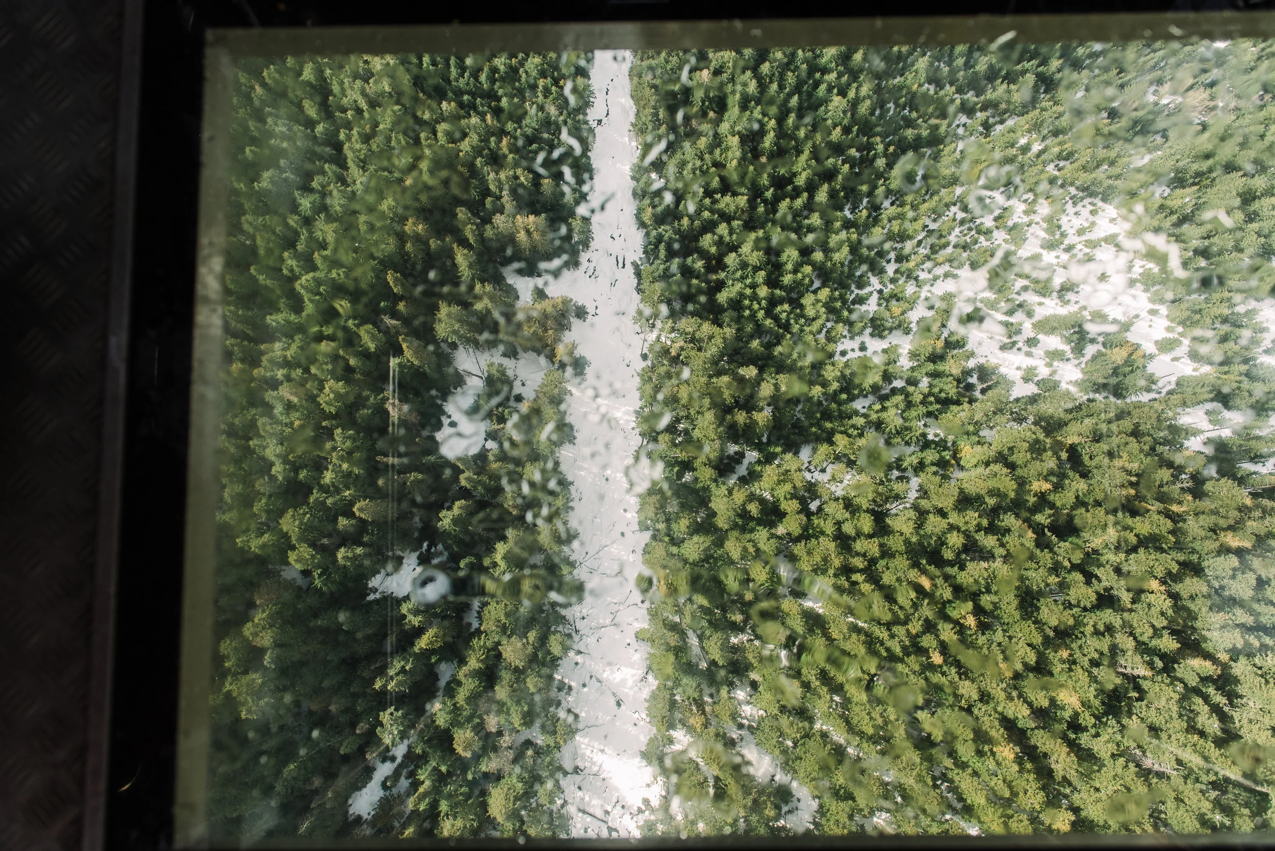 PNW-4891.jpg