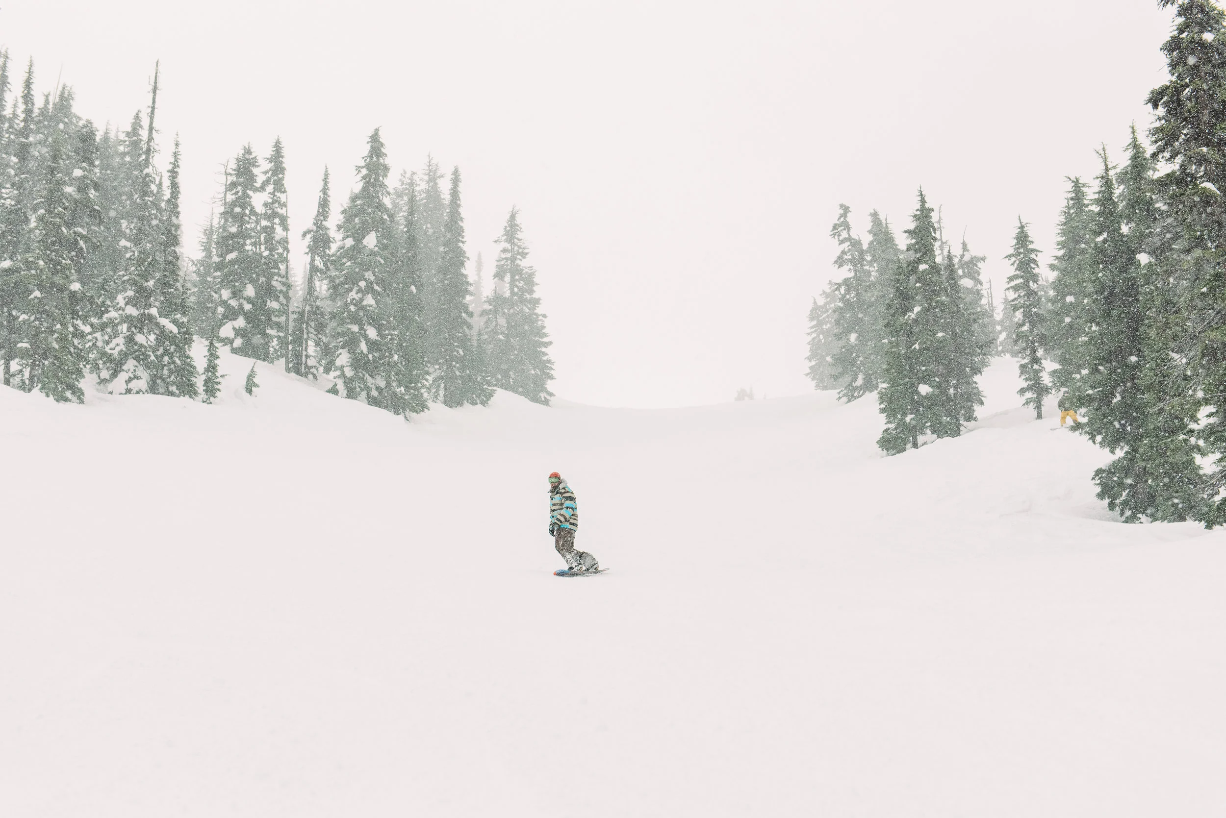 PNW-4911.jpg