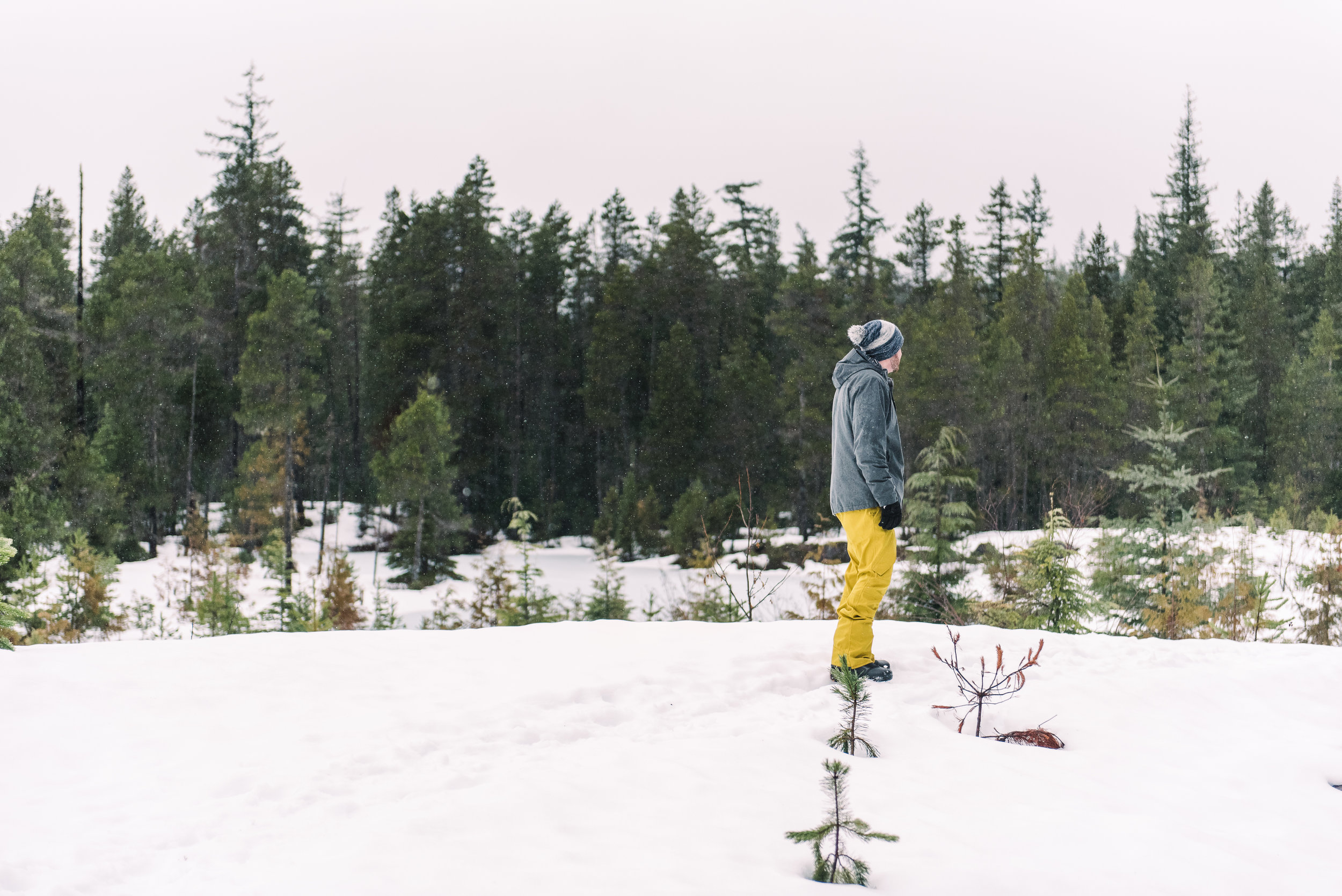 PNW-4837.jpg