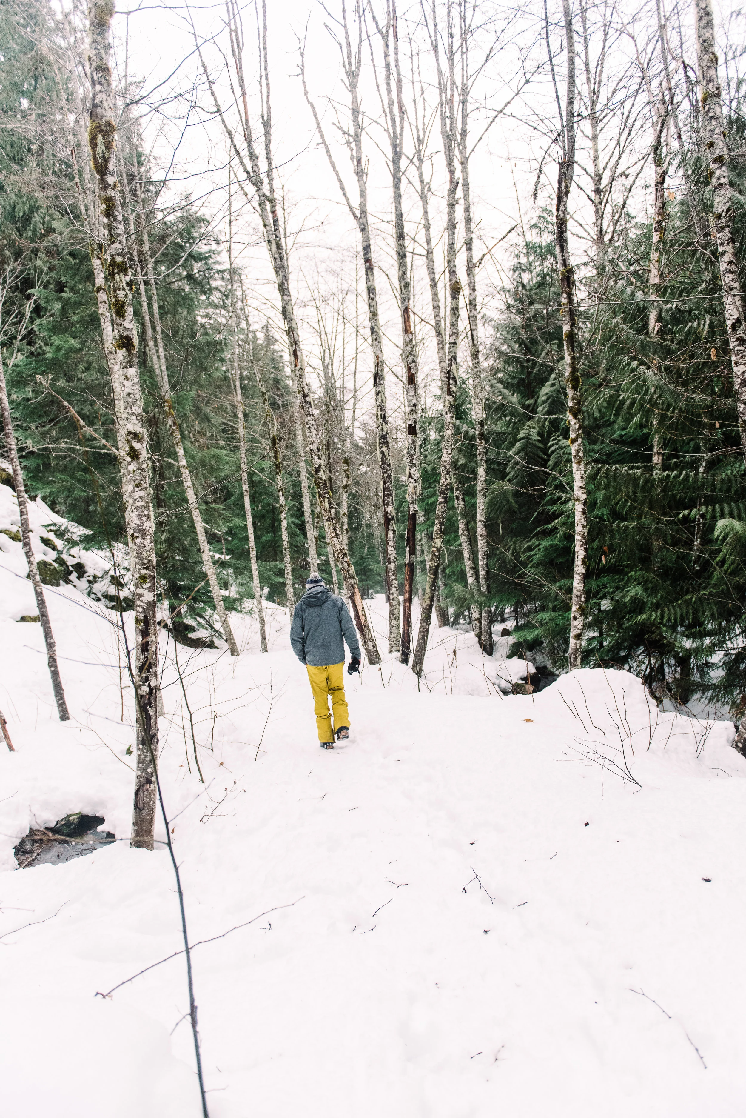 PNW-4841.jpg