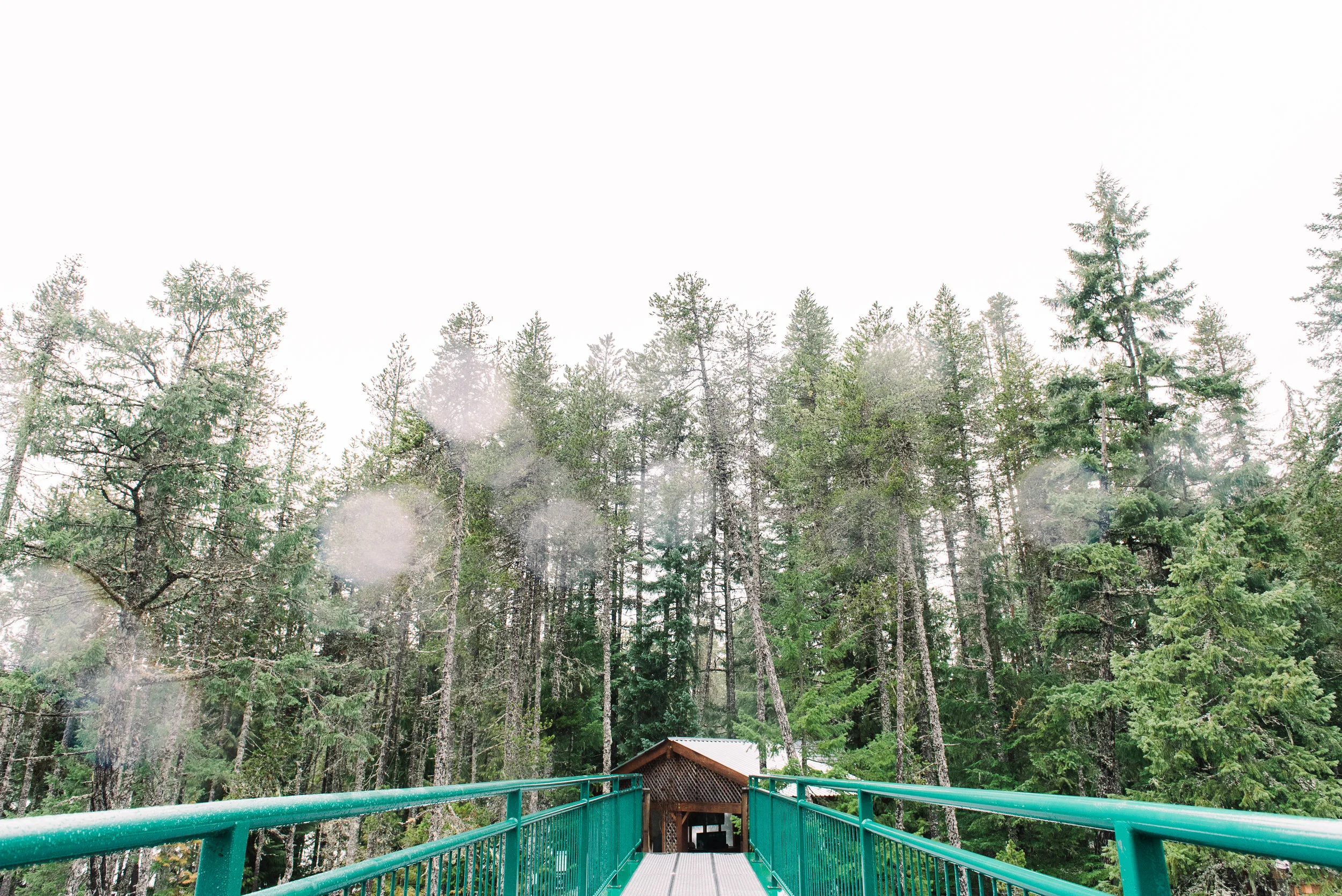 PNW-4760.jpg
