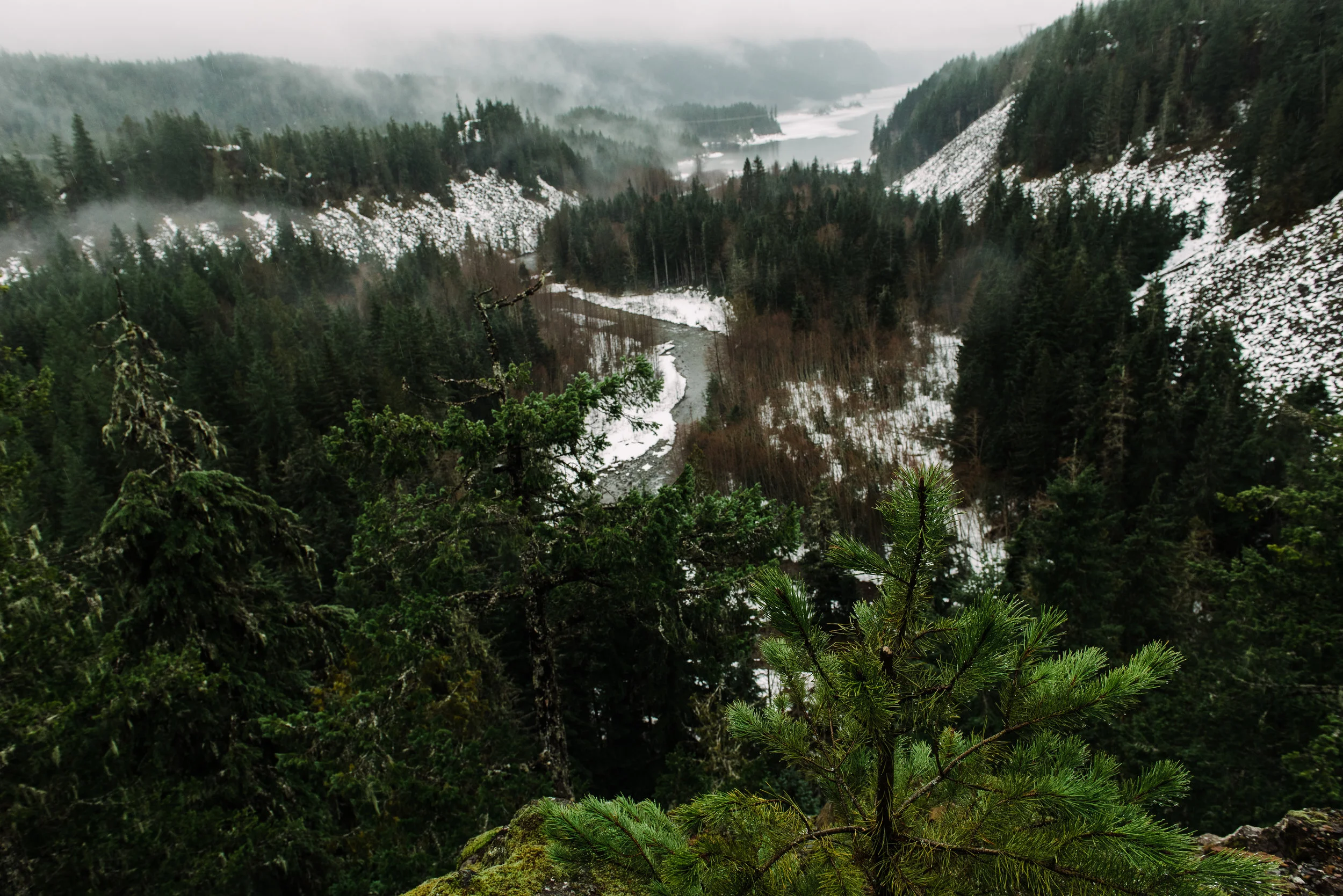 PNW-4747.jpg