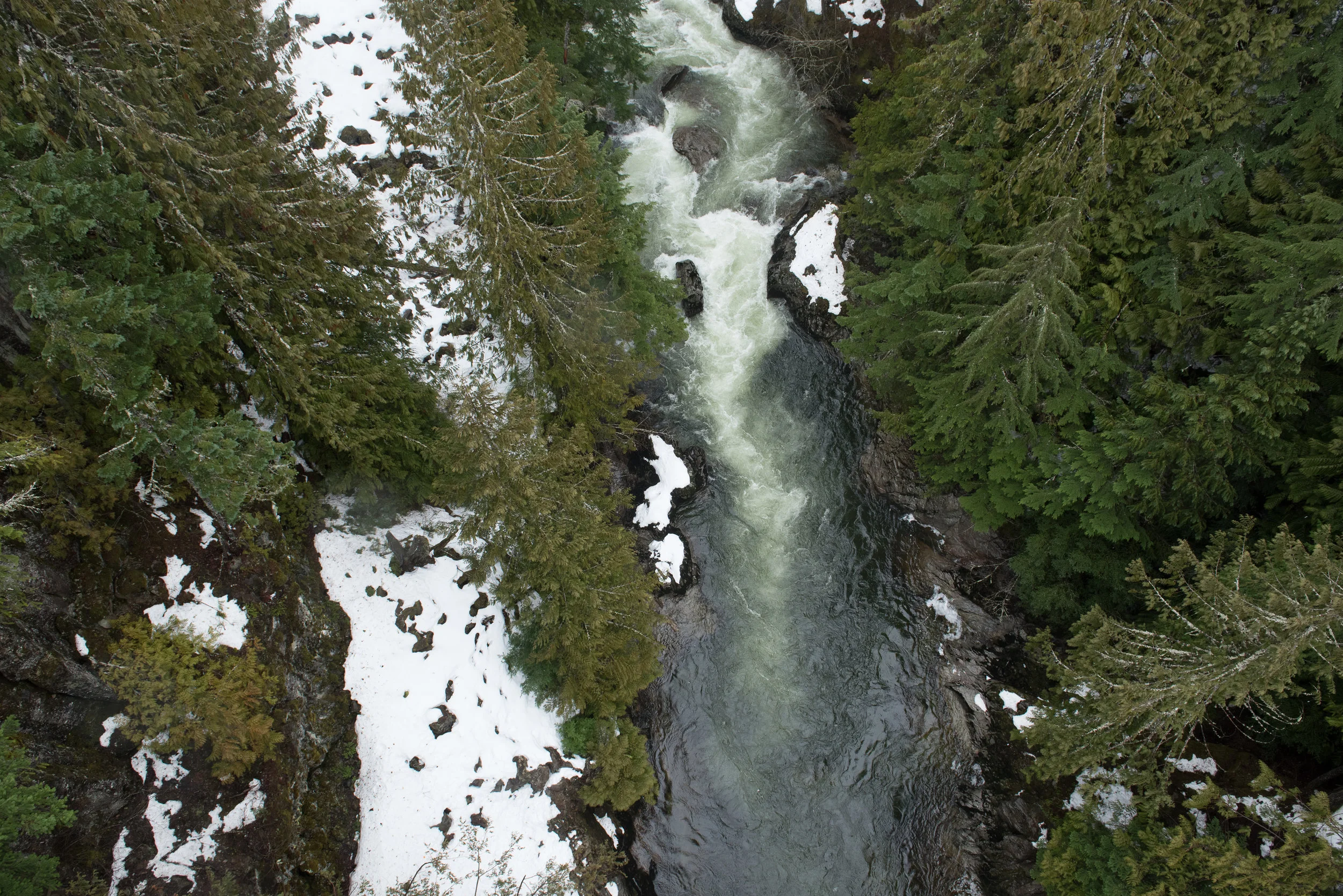 PNW-4758.jpg