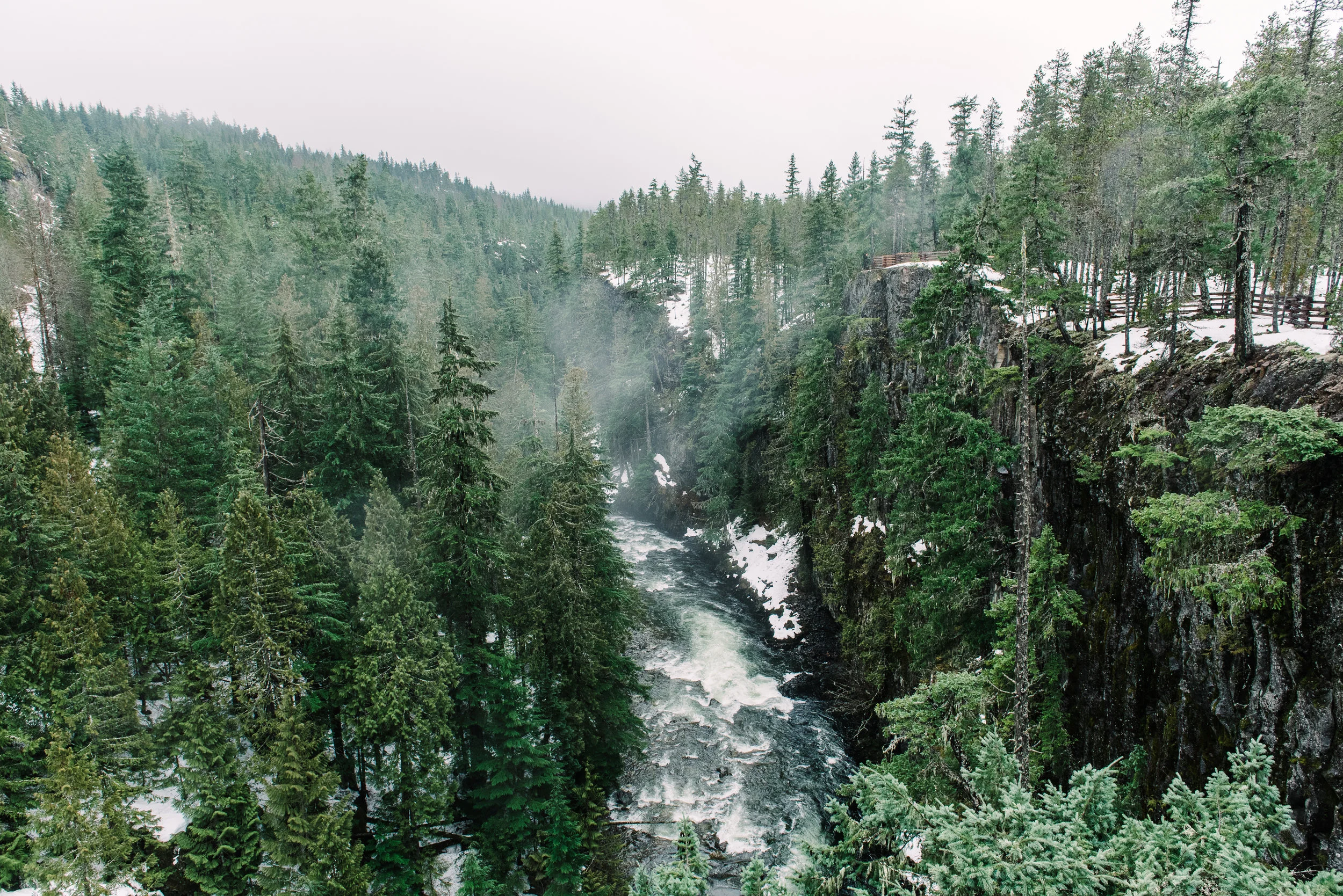 PNW-4756.jpg