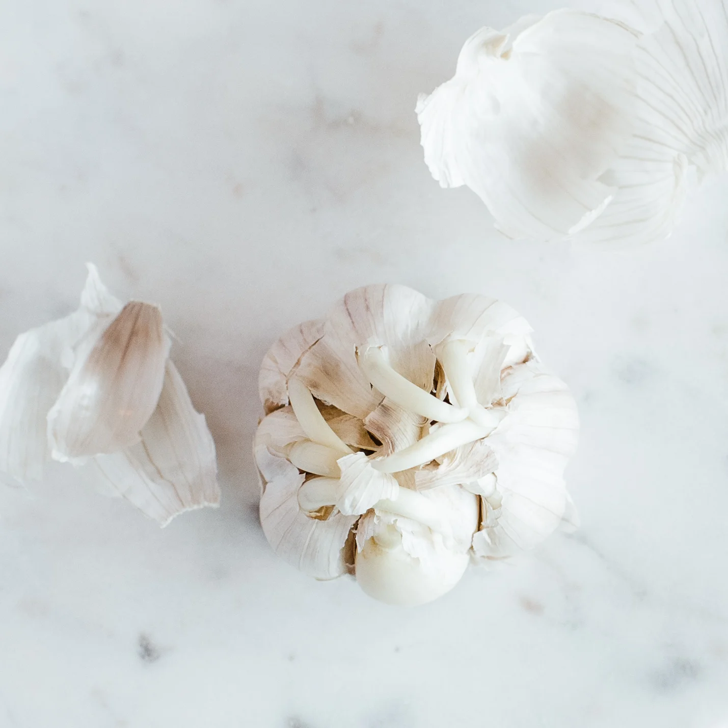 Food Photography-8.jpg