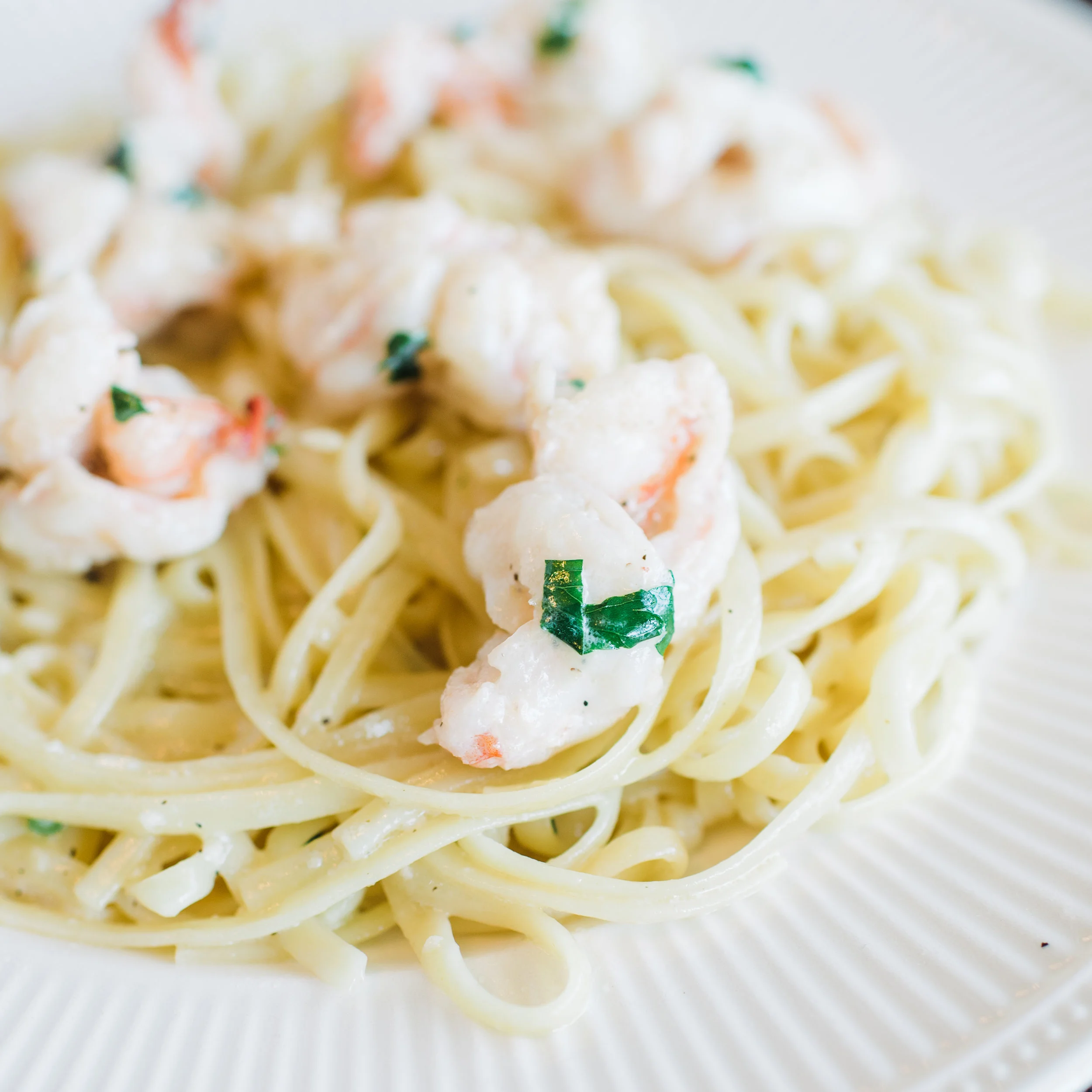 Dive into Food Photography // Morena's Cucina Rustica, Wakefield MA