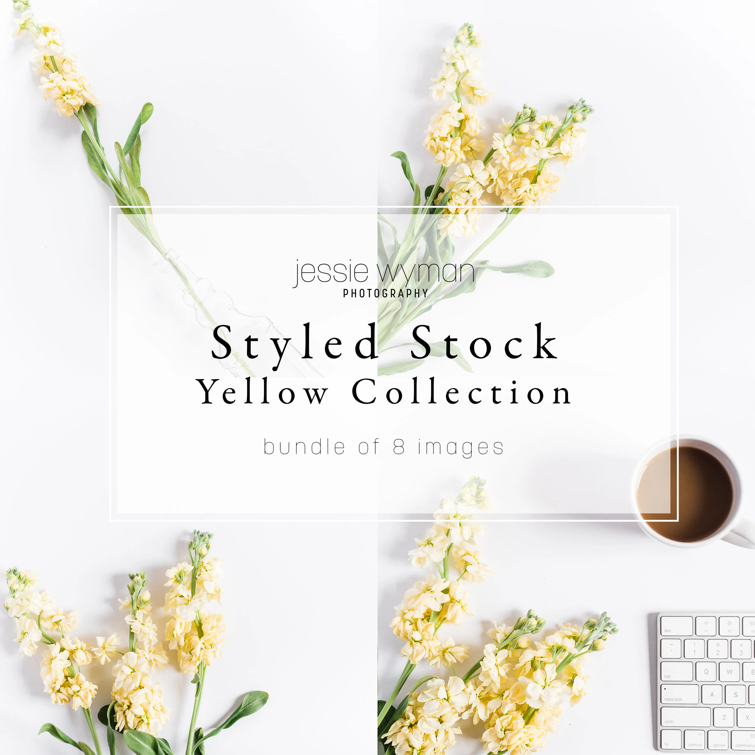 Styled Stock | Yellow Collection