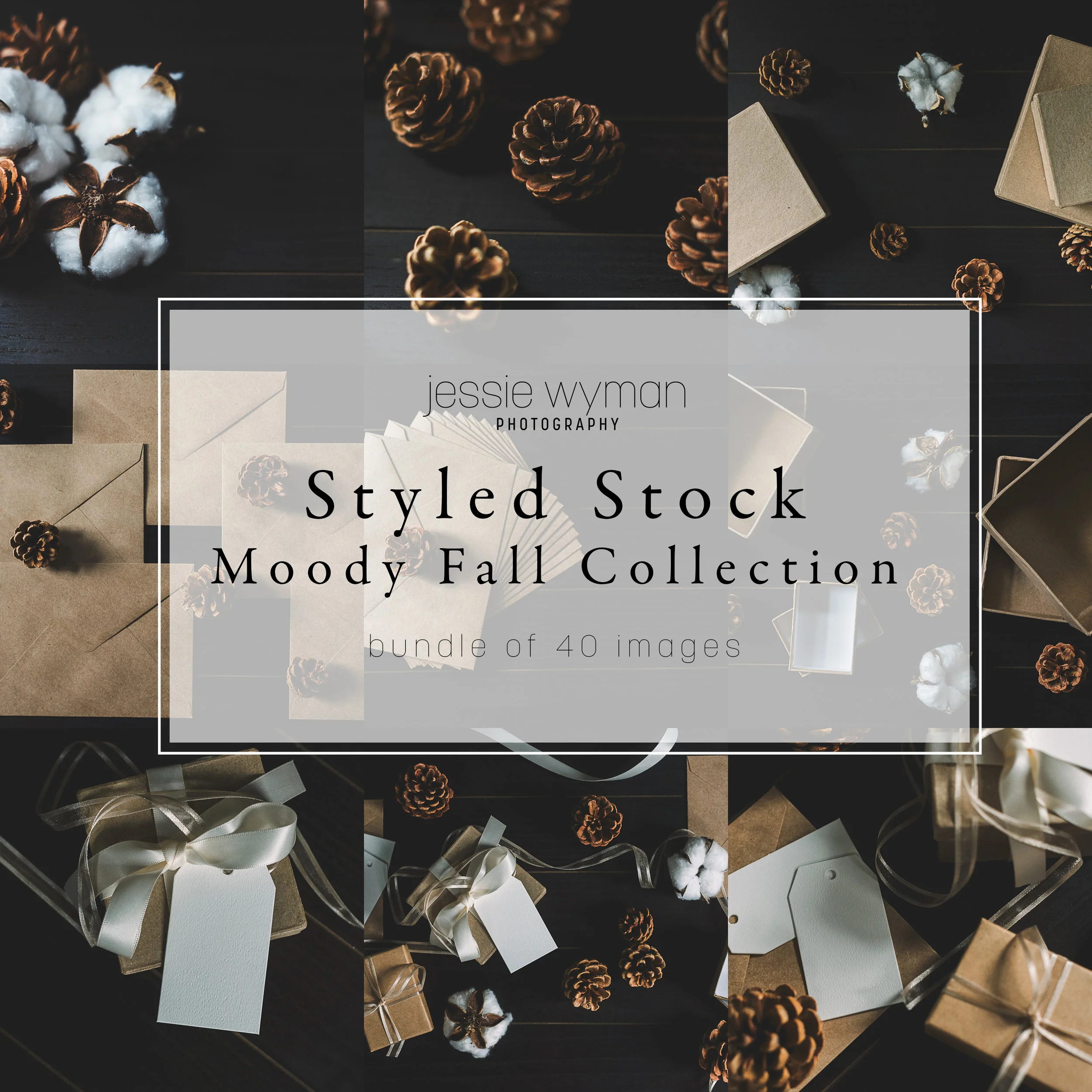 Moody Fall Collection