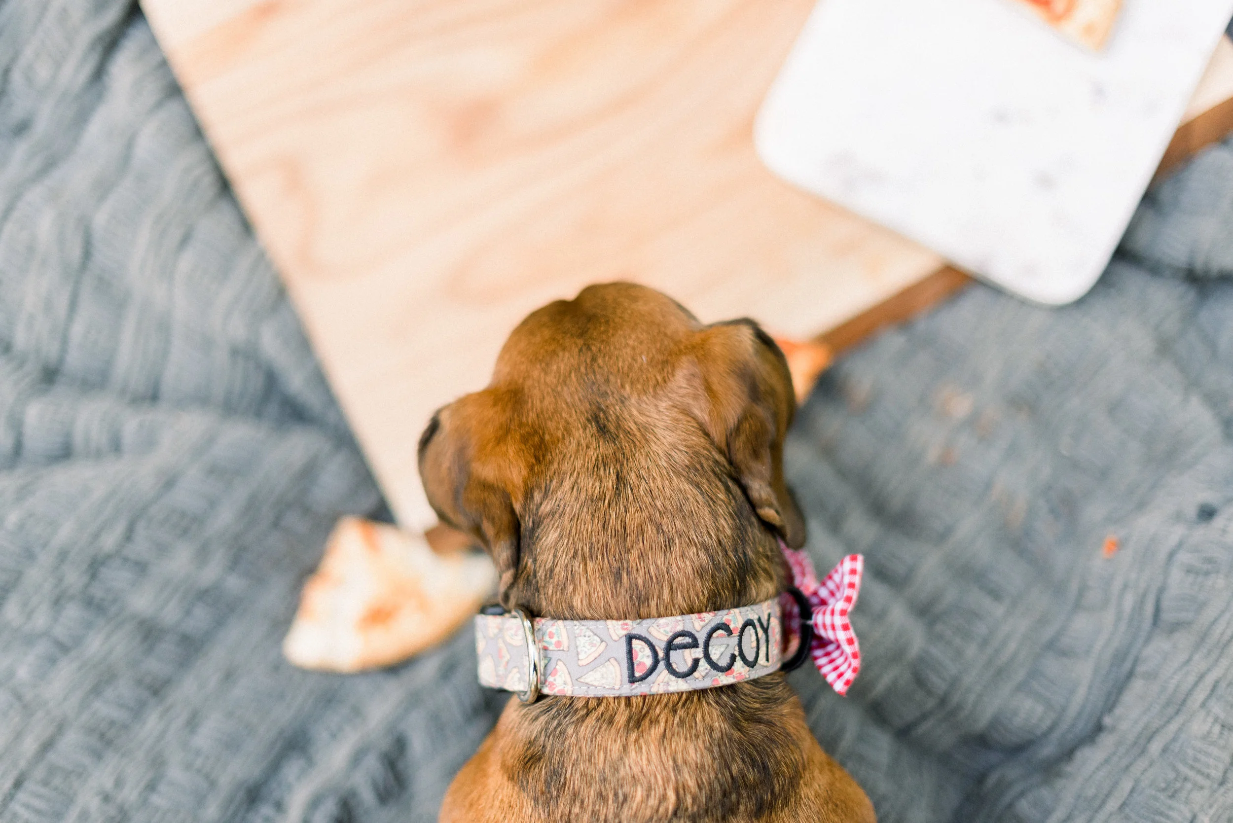 Pizza Collar-0015.jpg