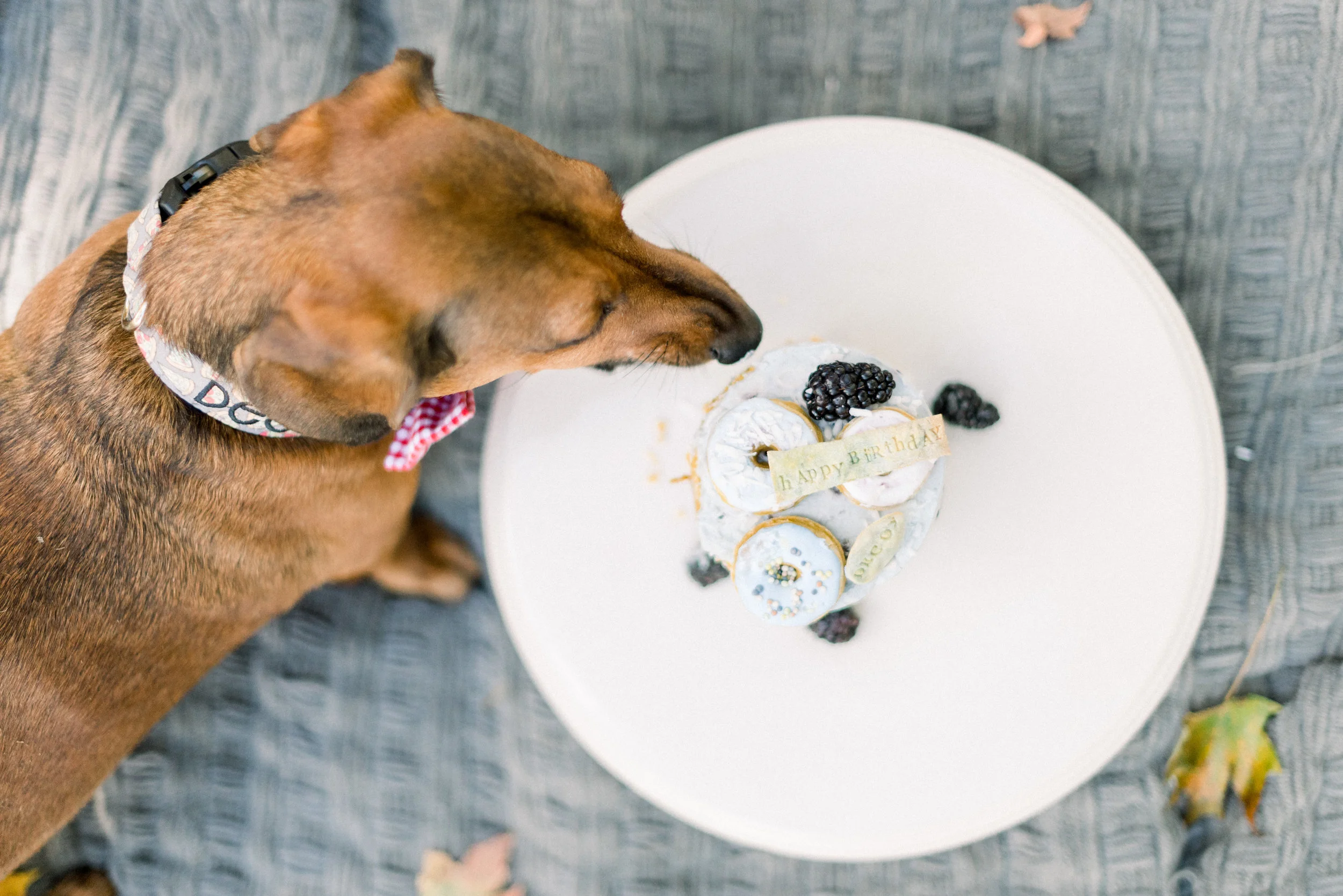 Cake Smash-0014.jpg