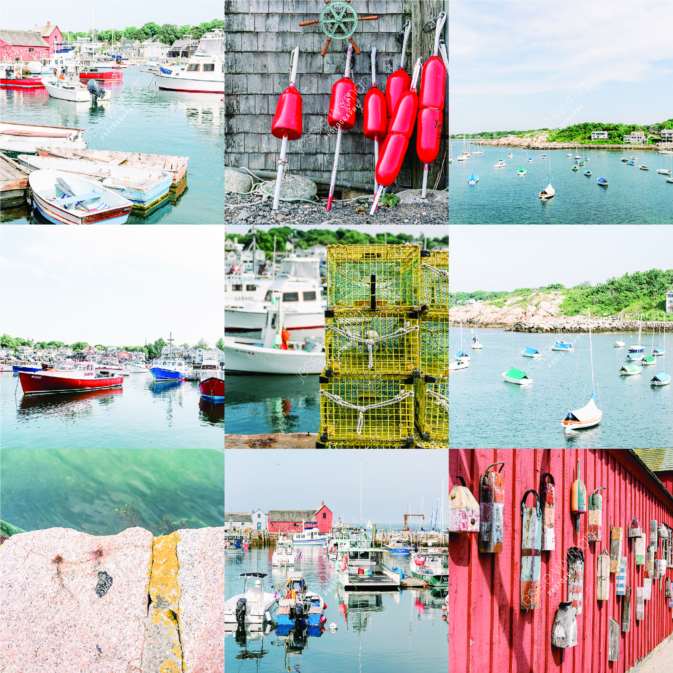 All Images@300x-100.jpg