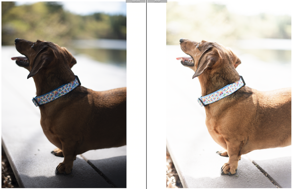 Screen Shot 2020-03-20 at 5.23.23 PM.png