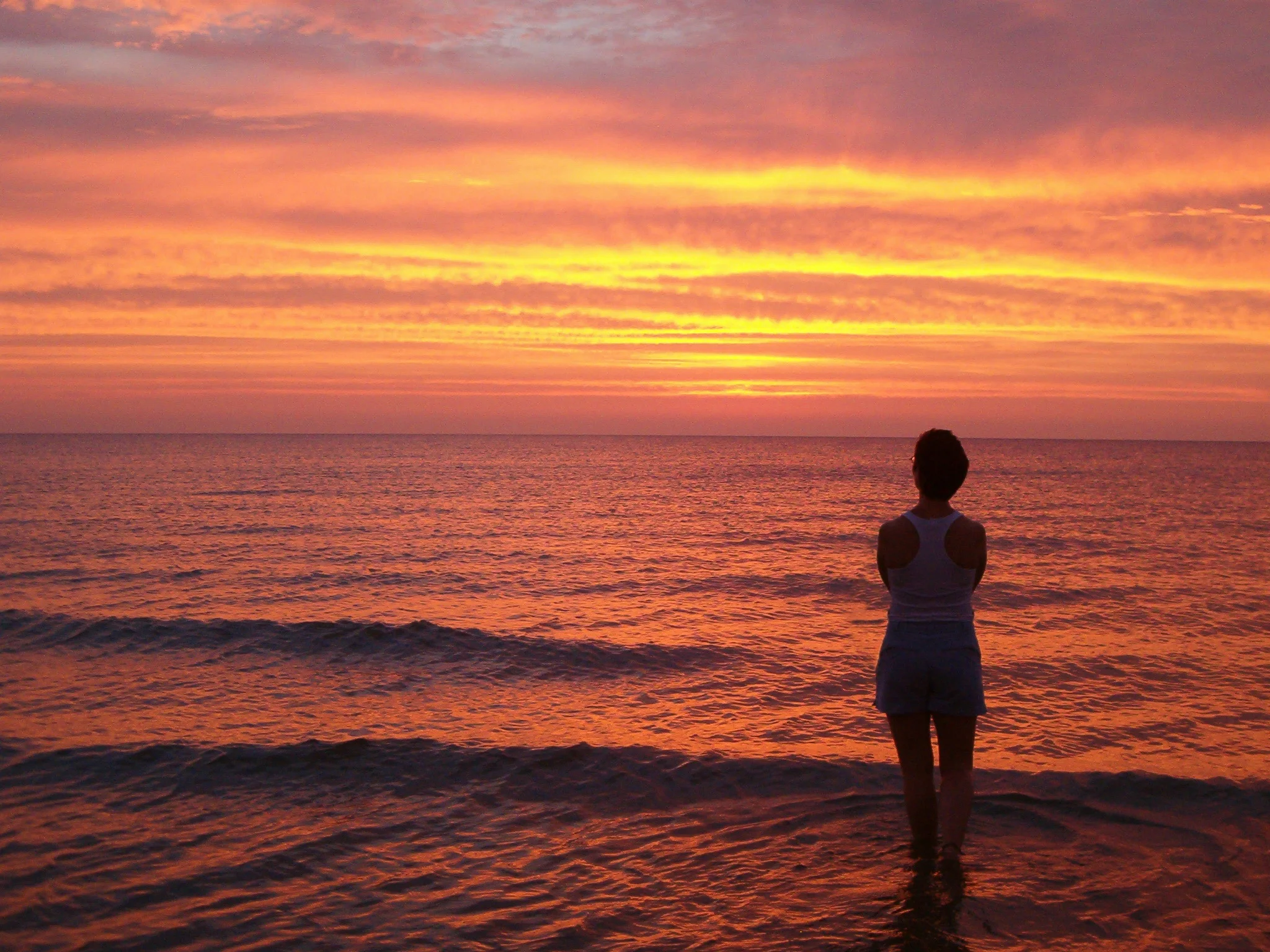 What is a Horizon Leader?